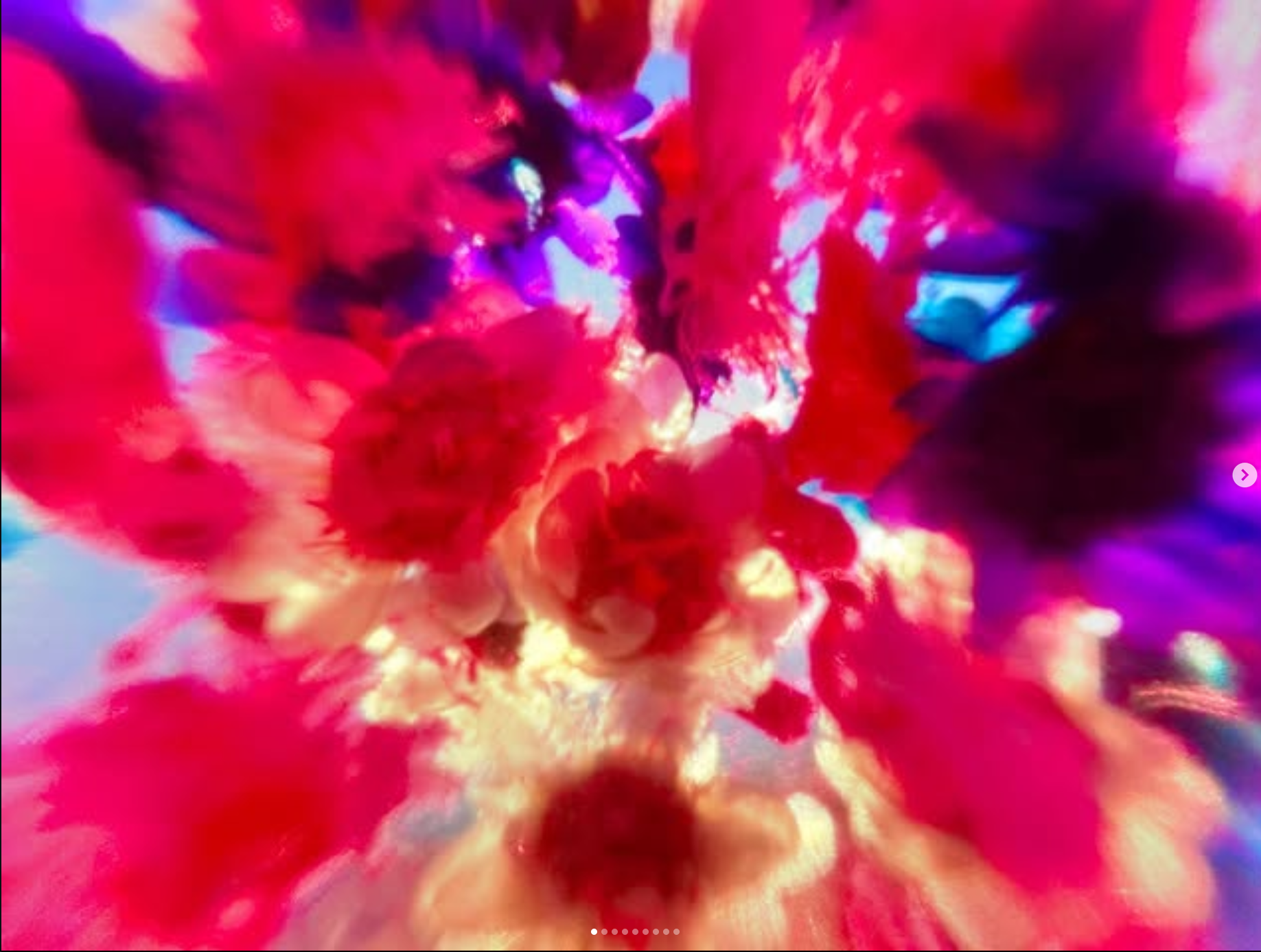 Flowers of Wild Youth #11