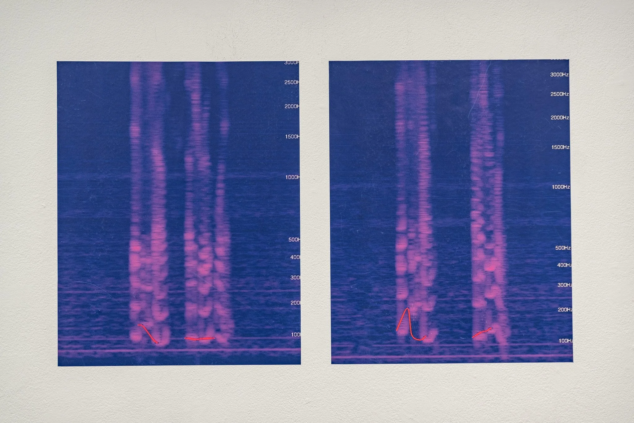 This is the Voice of A True Woman