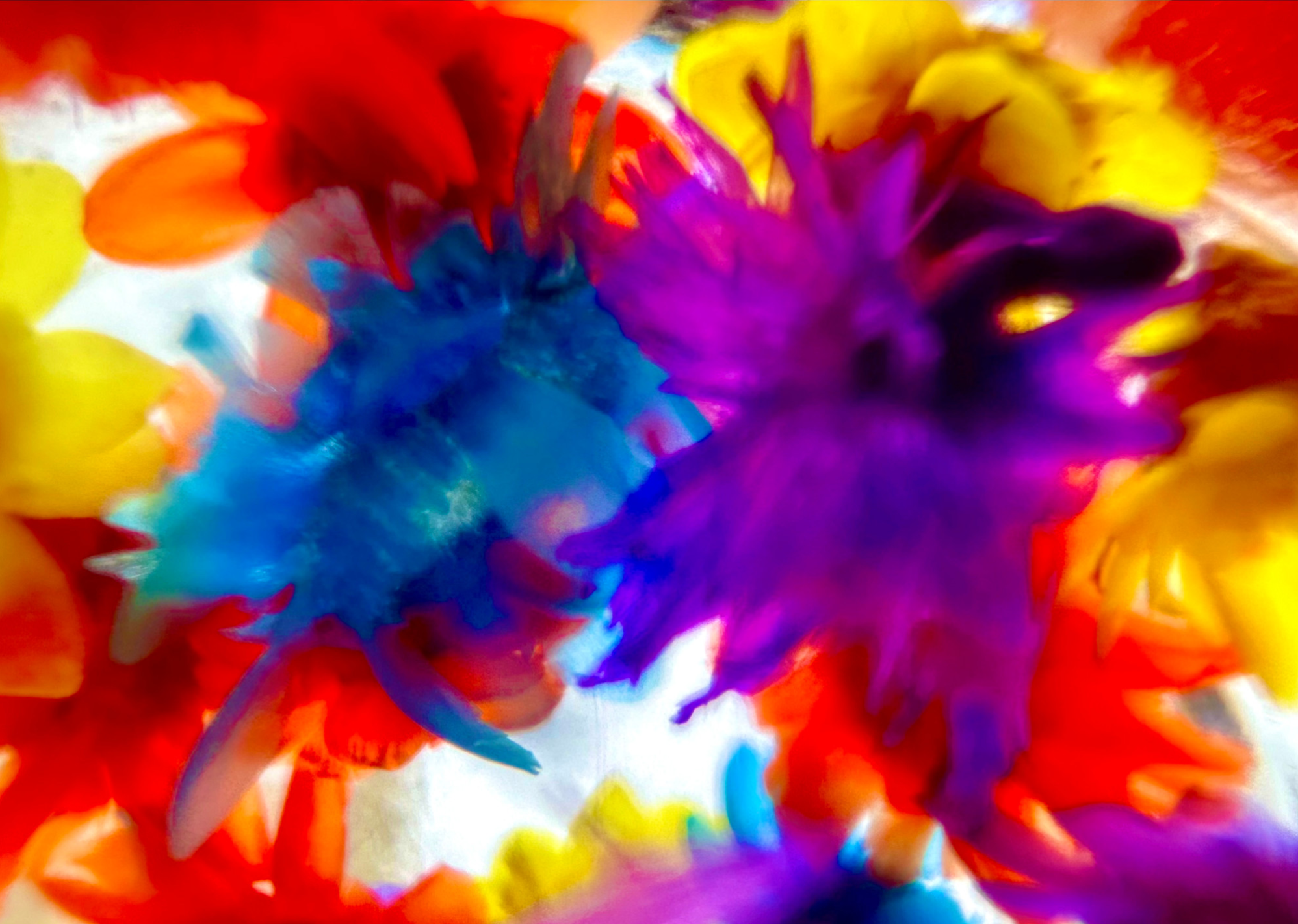 Flowers of Wild Youth #2