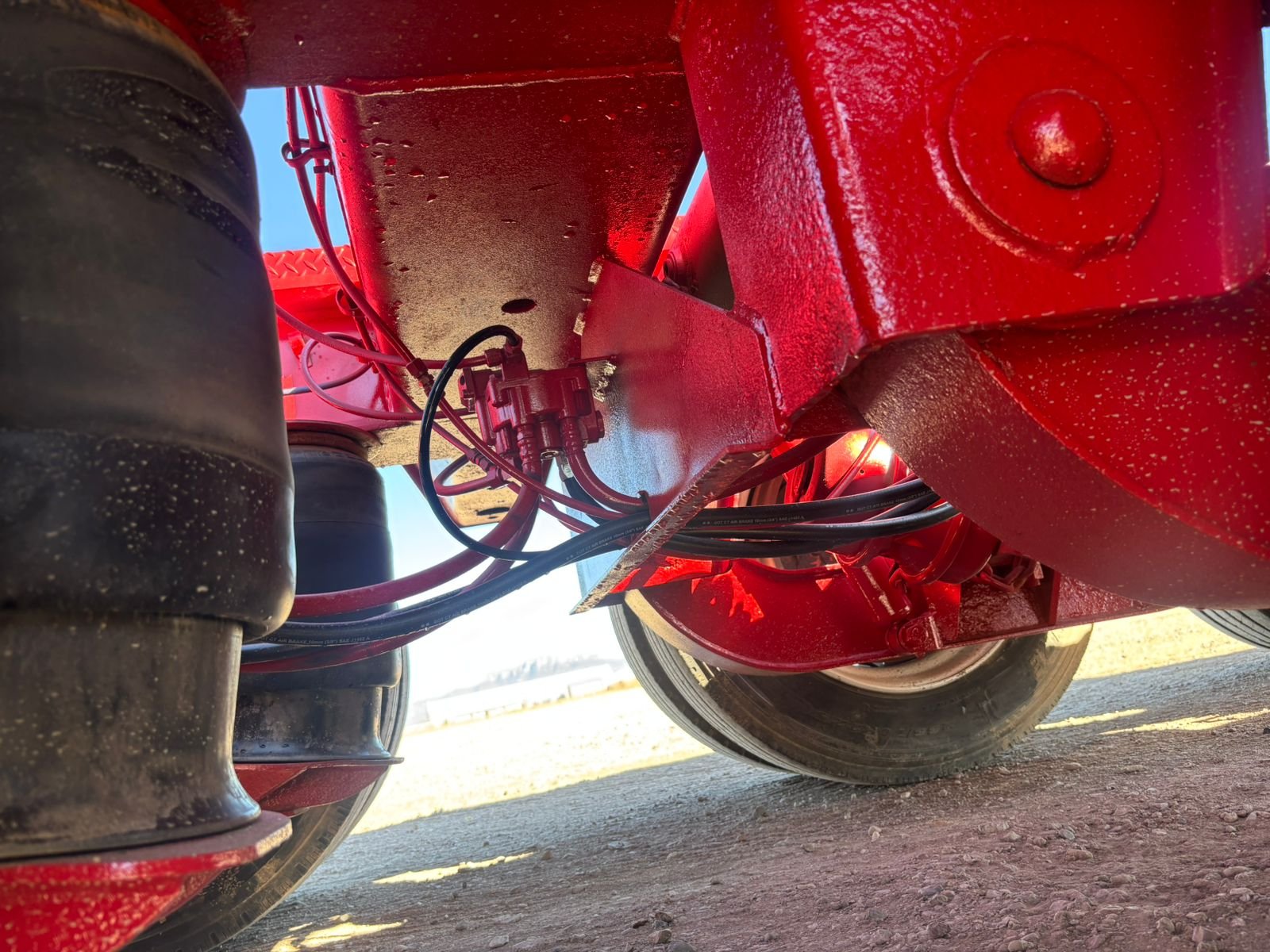 WhatsApp Image 2026-01-23 at 1.17.23 PM (4).jpeg