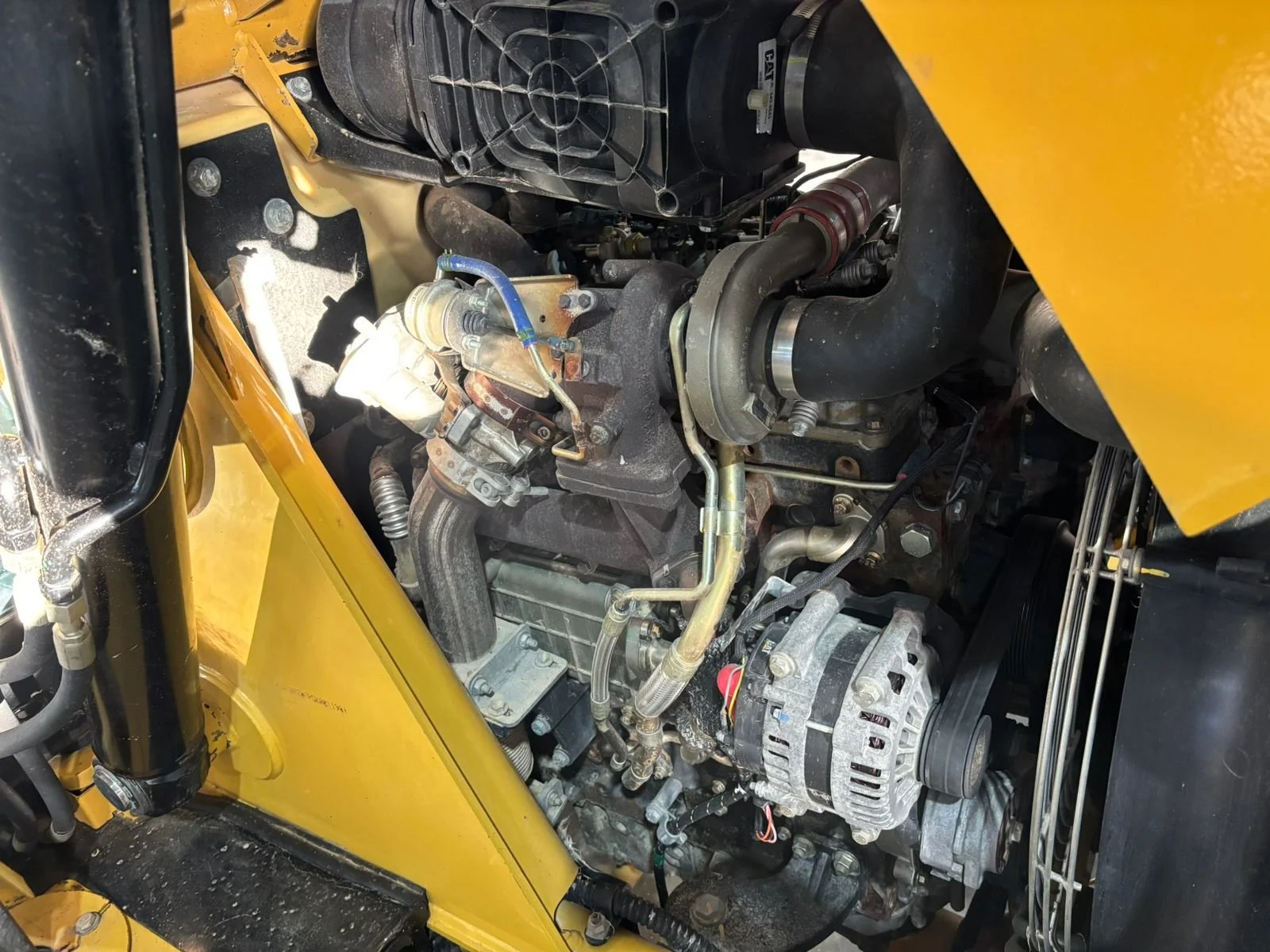 WhatsApp Image 2026-01-23 at 12.39.33 PM (6).jpeg