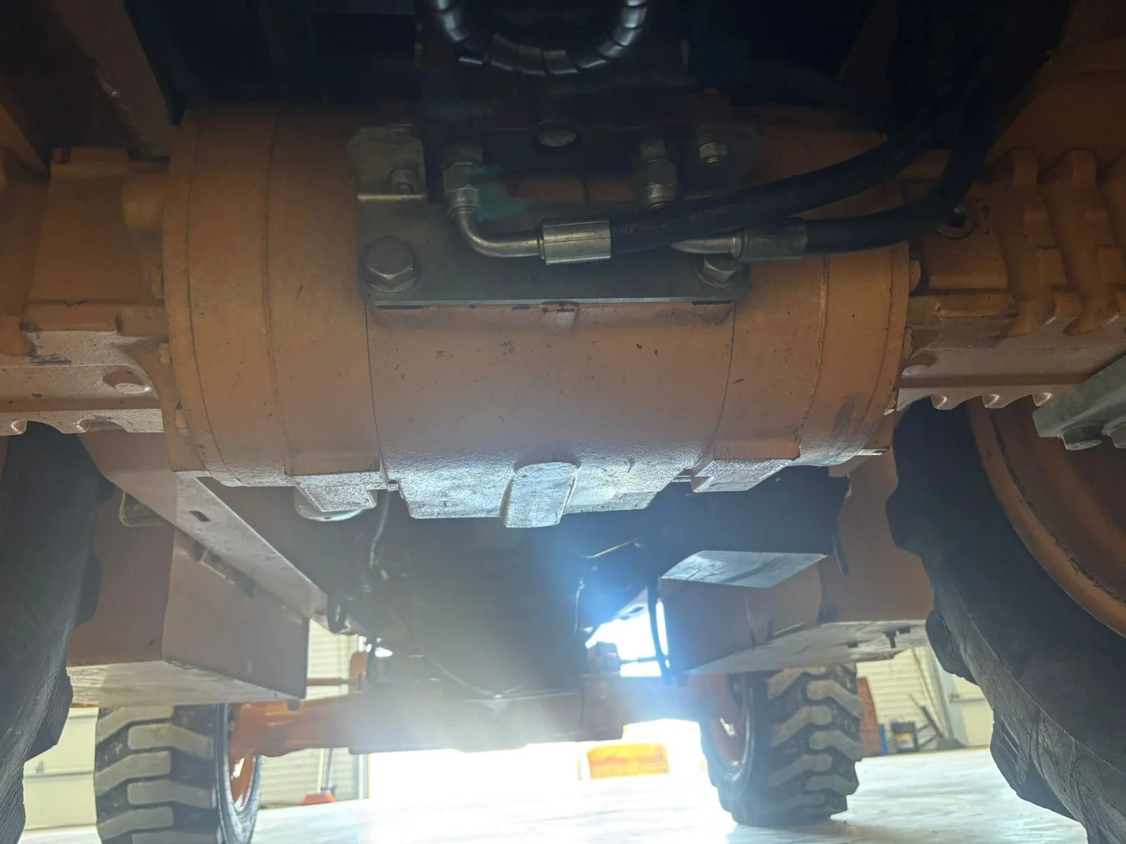 WhatsApp Image 2026-01-23 at 12.52.23 PM (1).jpeg