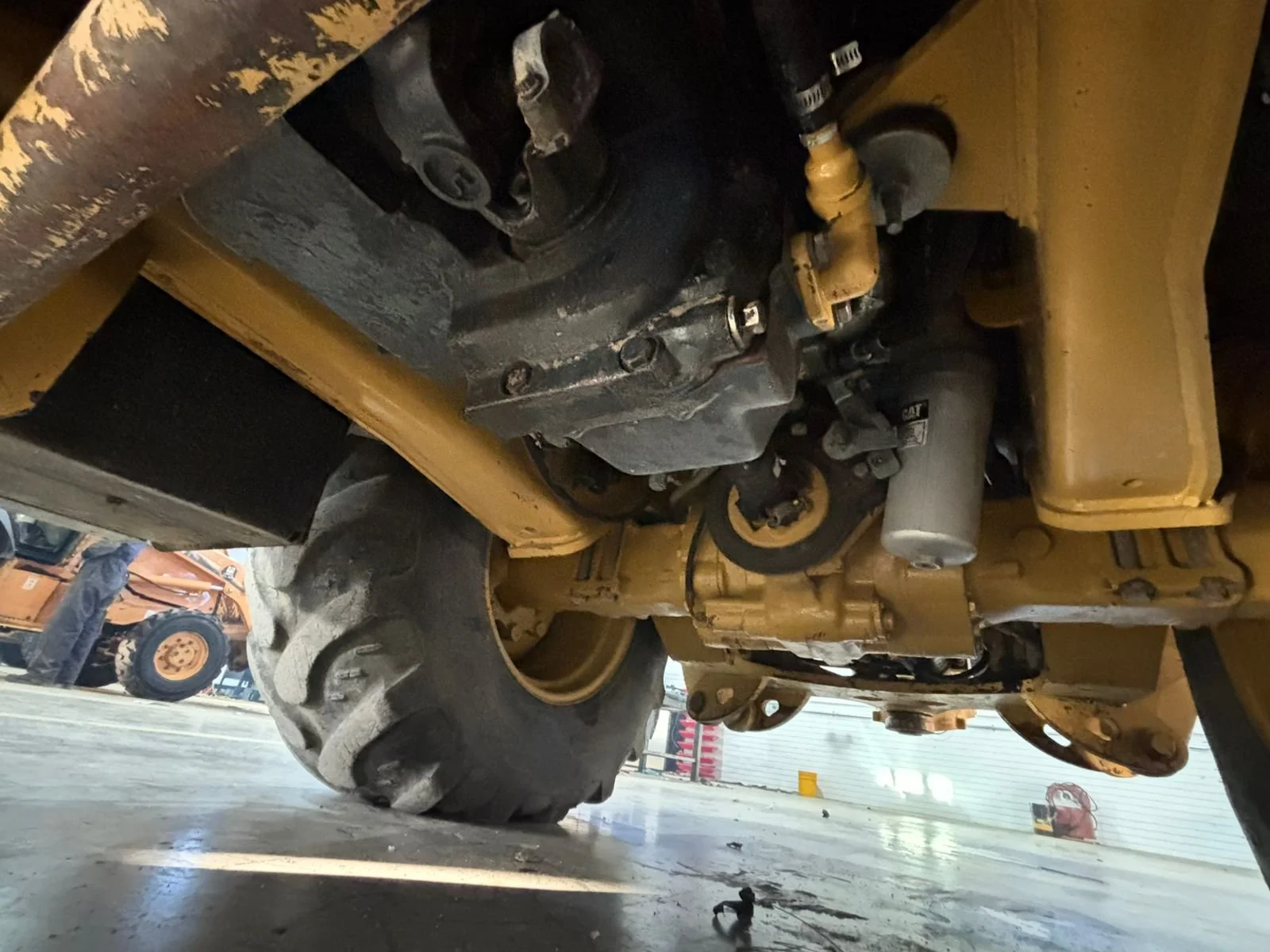 WhatsApp Image 2026-01-23 at 12.39.34 PM.jpeg