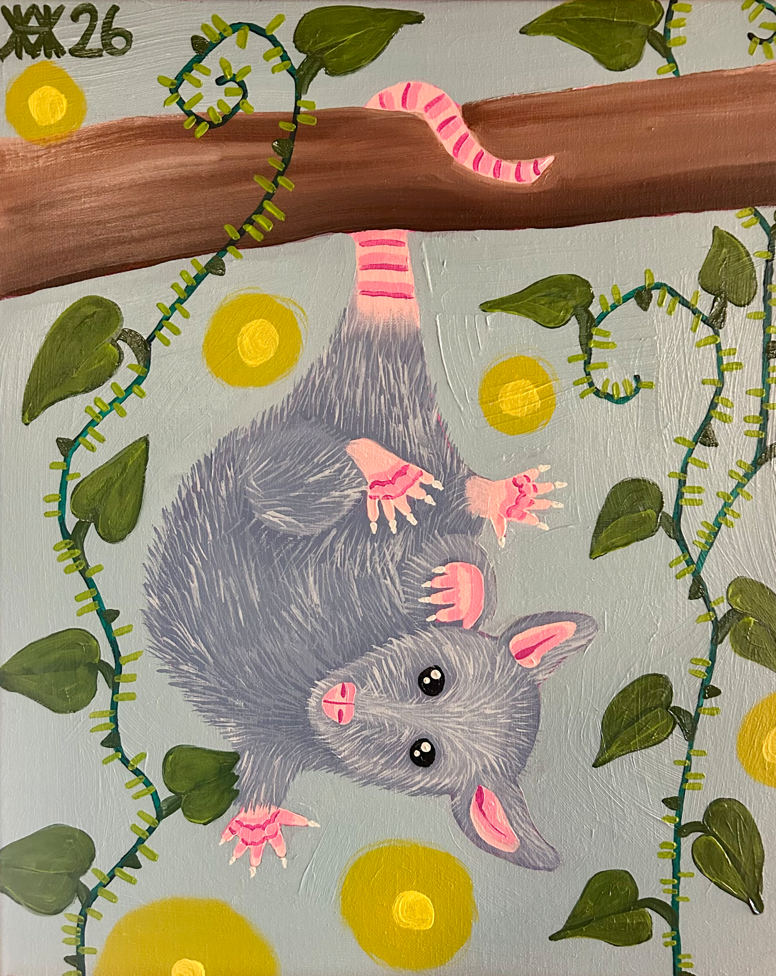 Dangling Opossum 2026