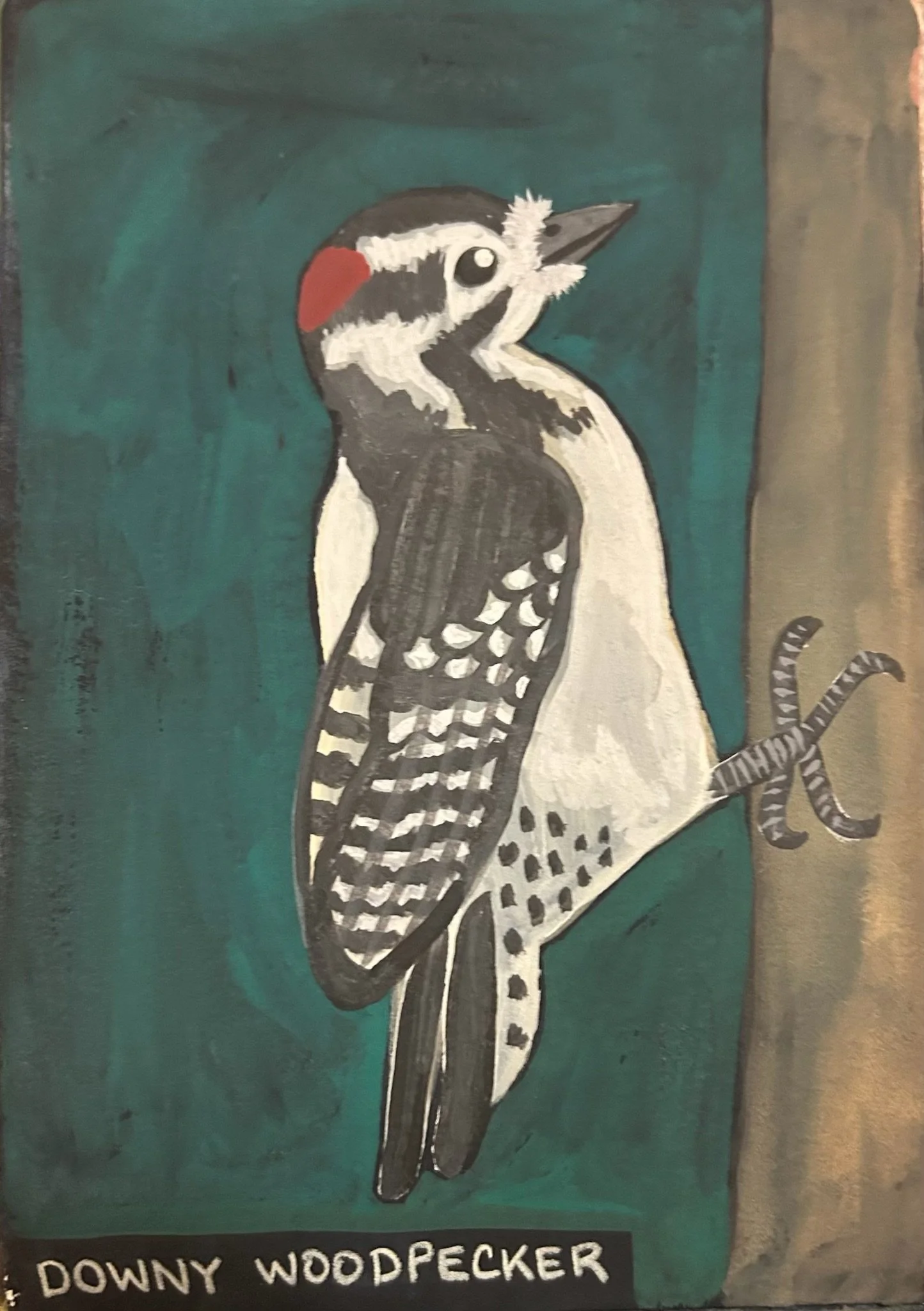 Downy Woodpecker 2026