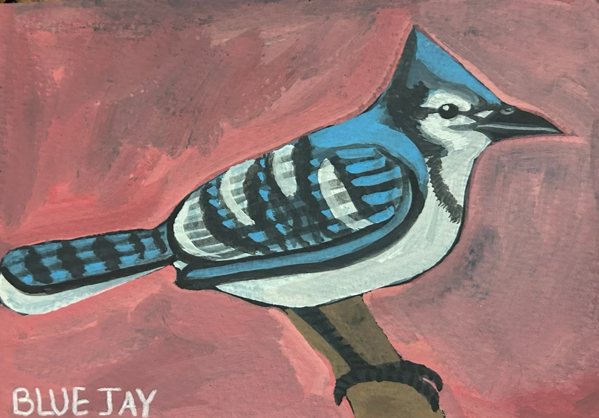 Blue Jay 2026