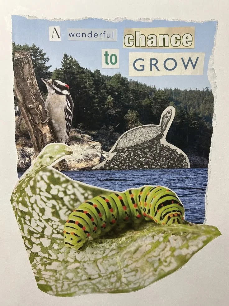A Wonderful Chance to Grow 2025