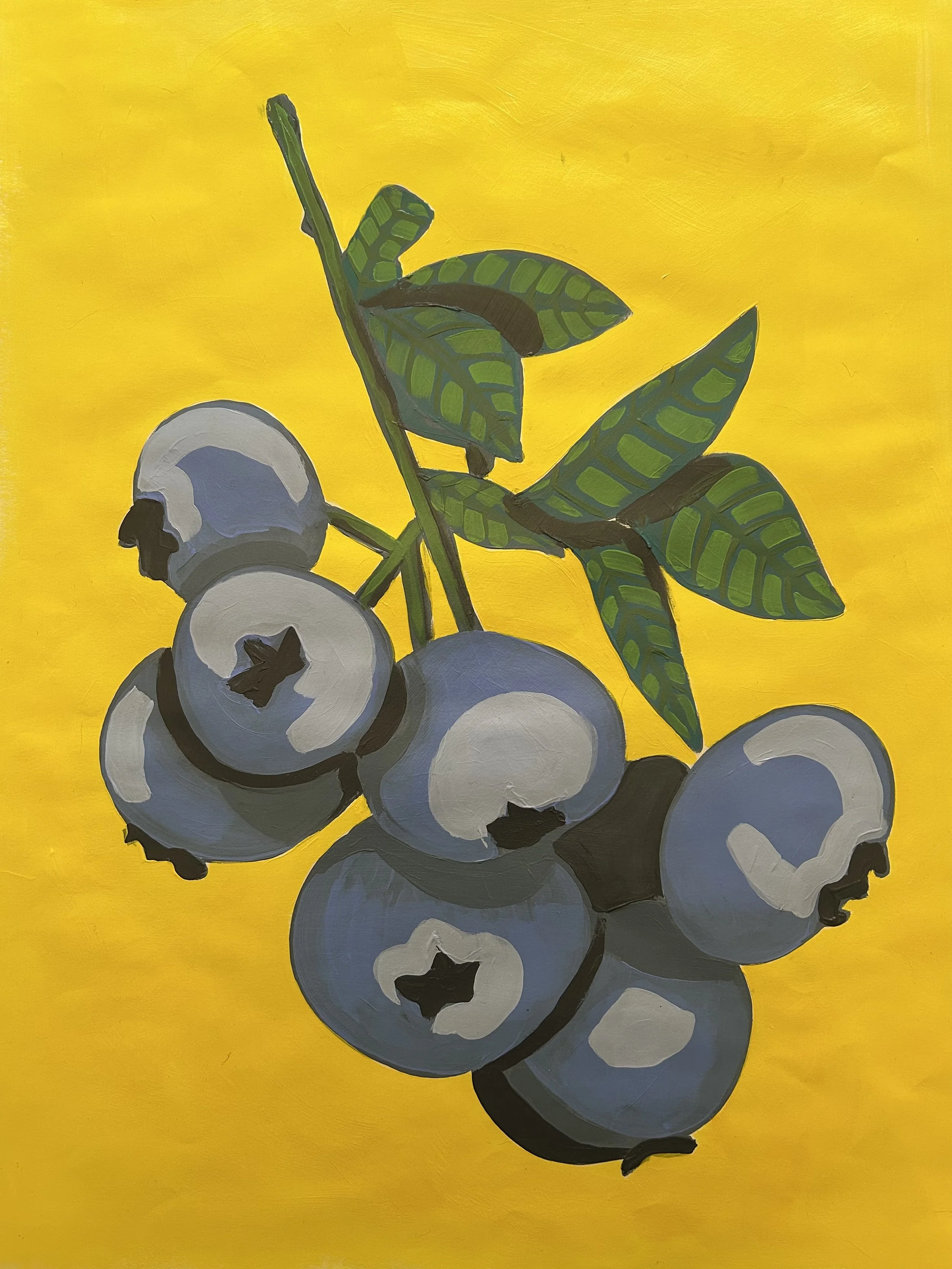 Blueberries 2026