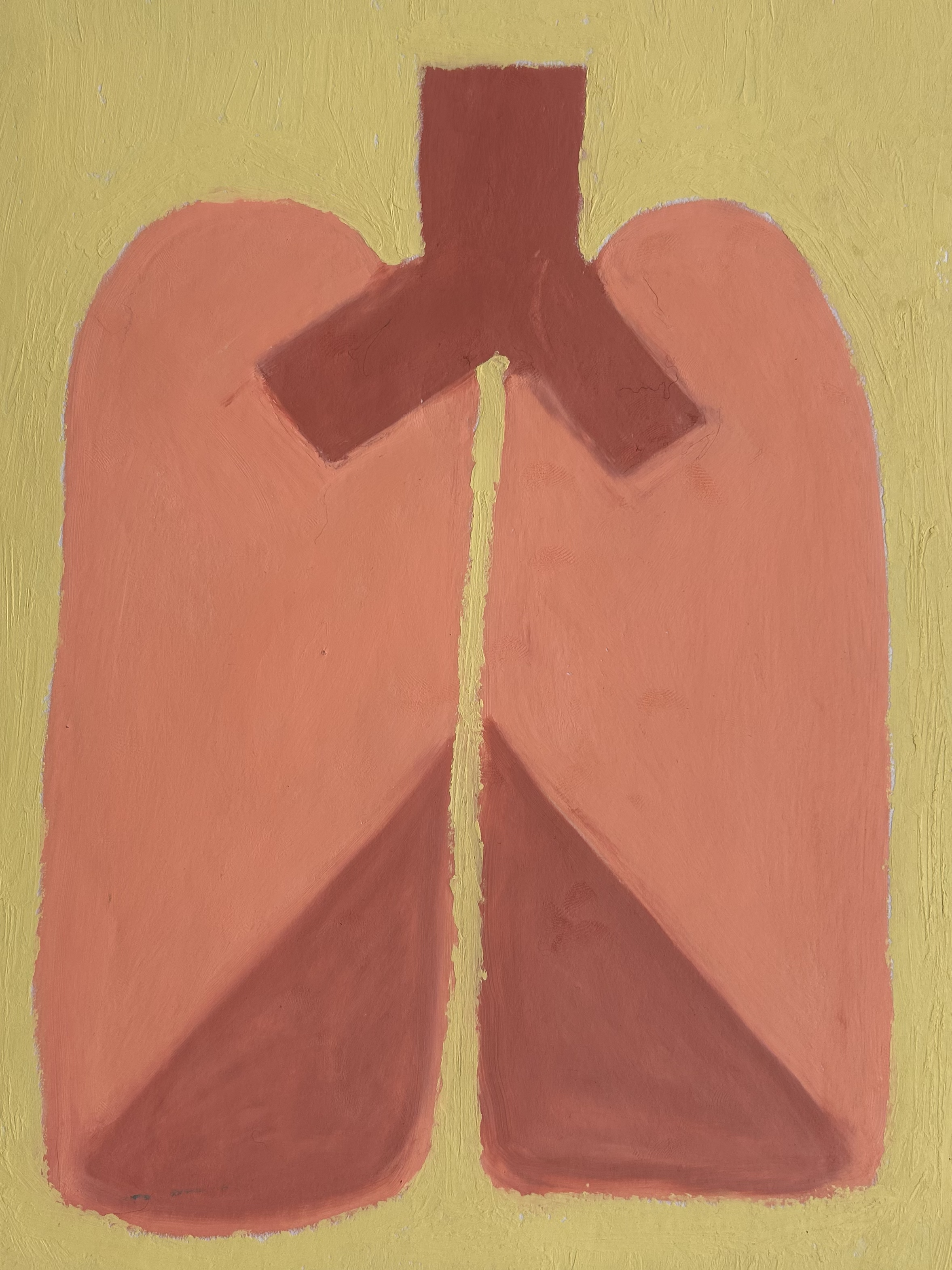 Lungs Sketchbook 19