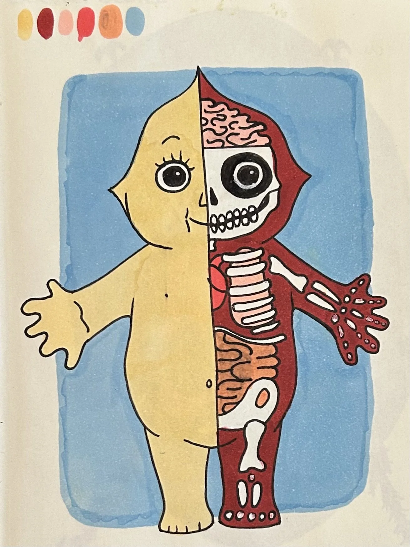 Kewpie Anatomy 2024