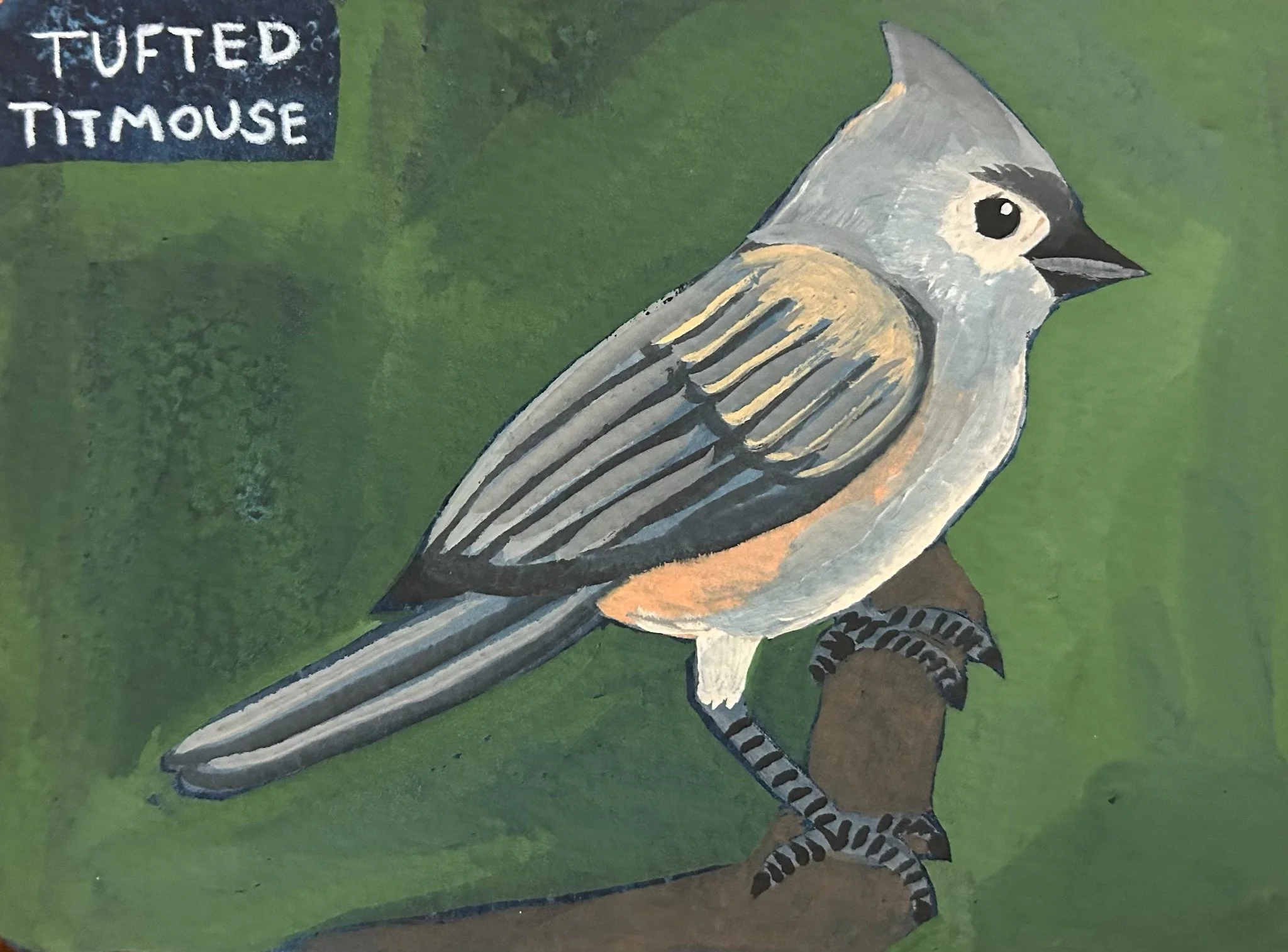 Tufted Titmouse 2026