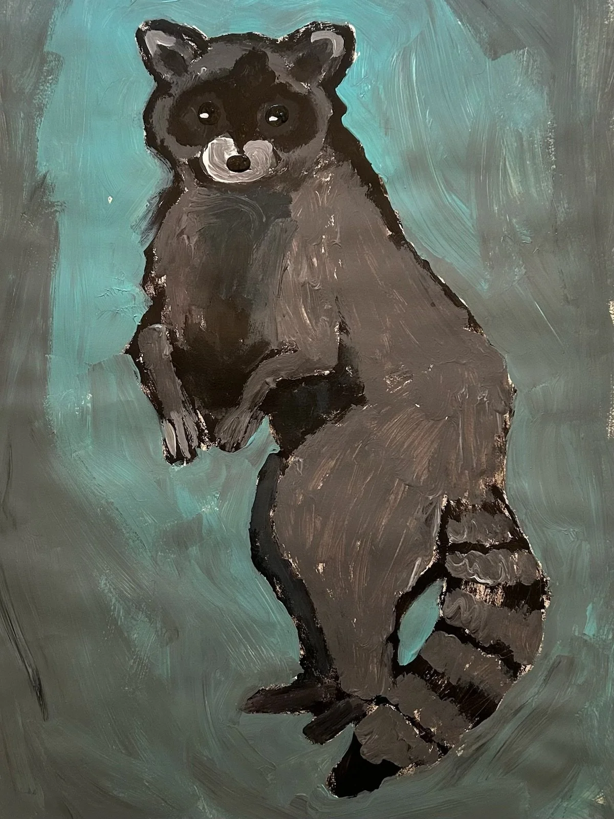 Raccoon 2026