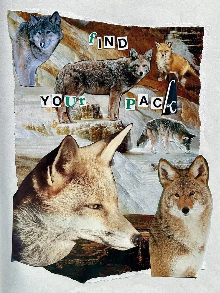 Find Your Pack 2026