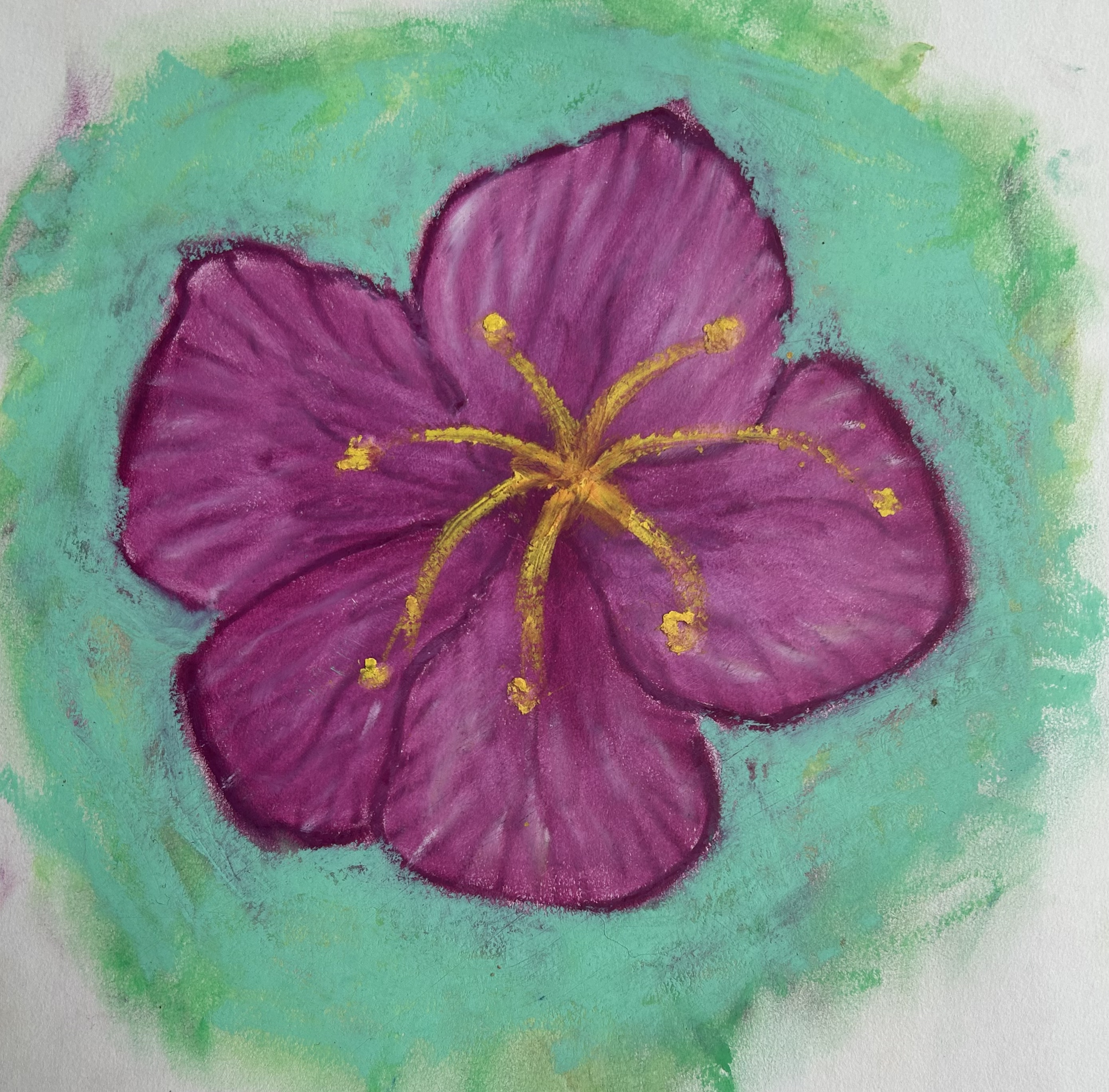 Hibiscus Sketchbook 19