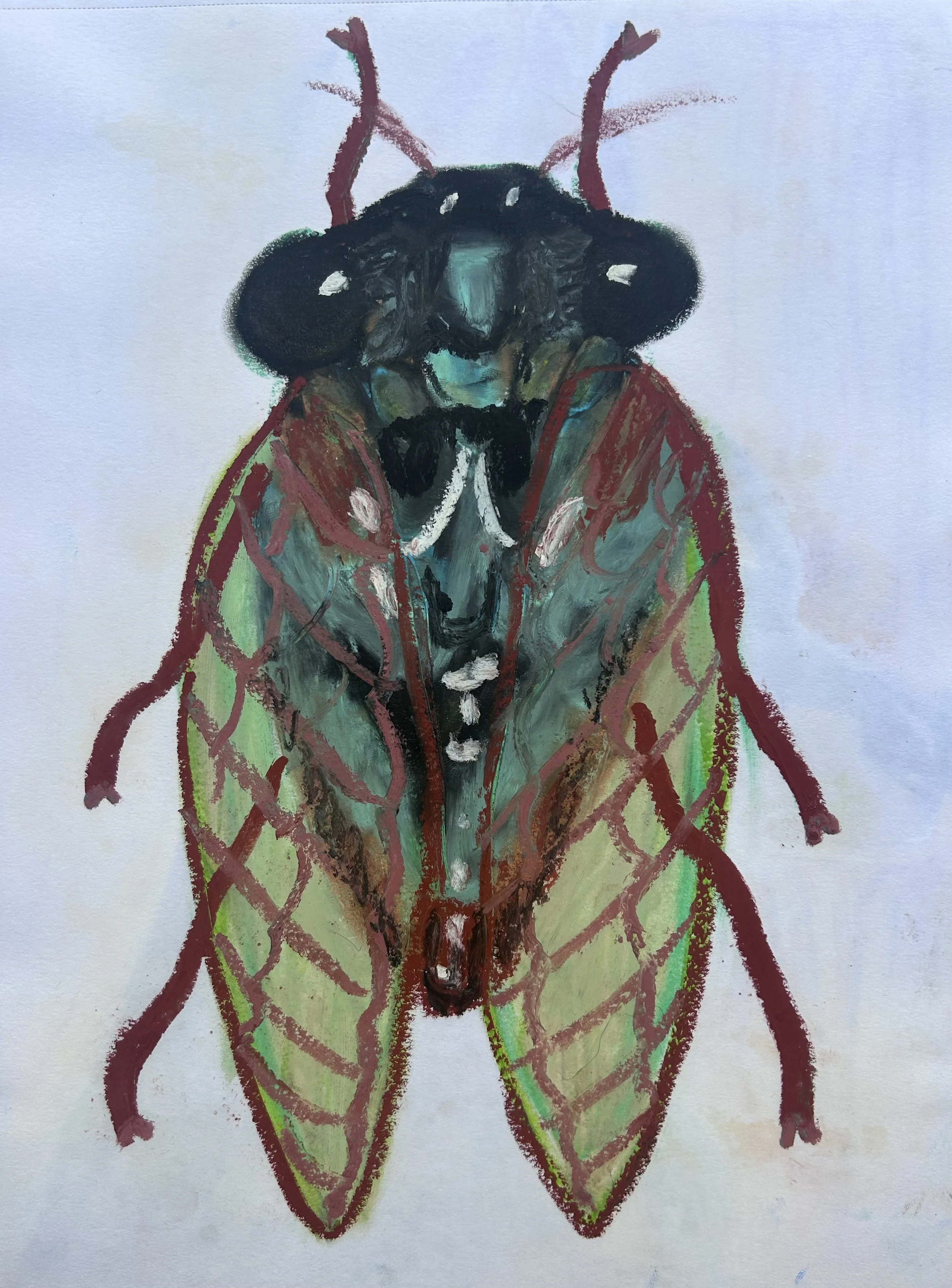 Cicada 2026
