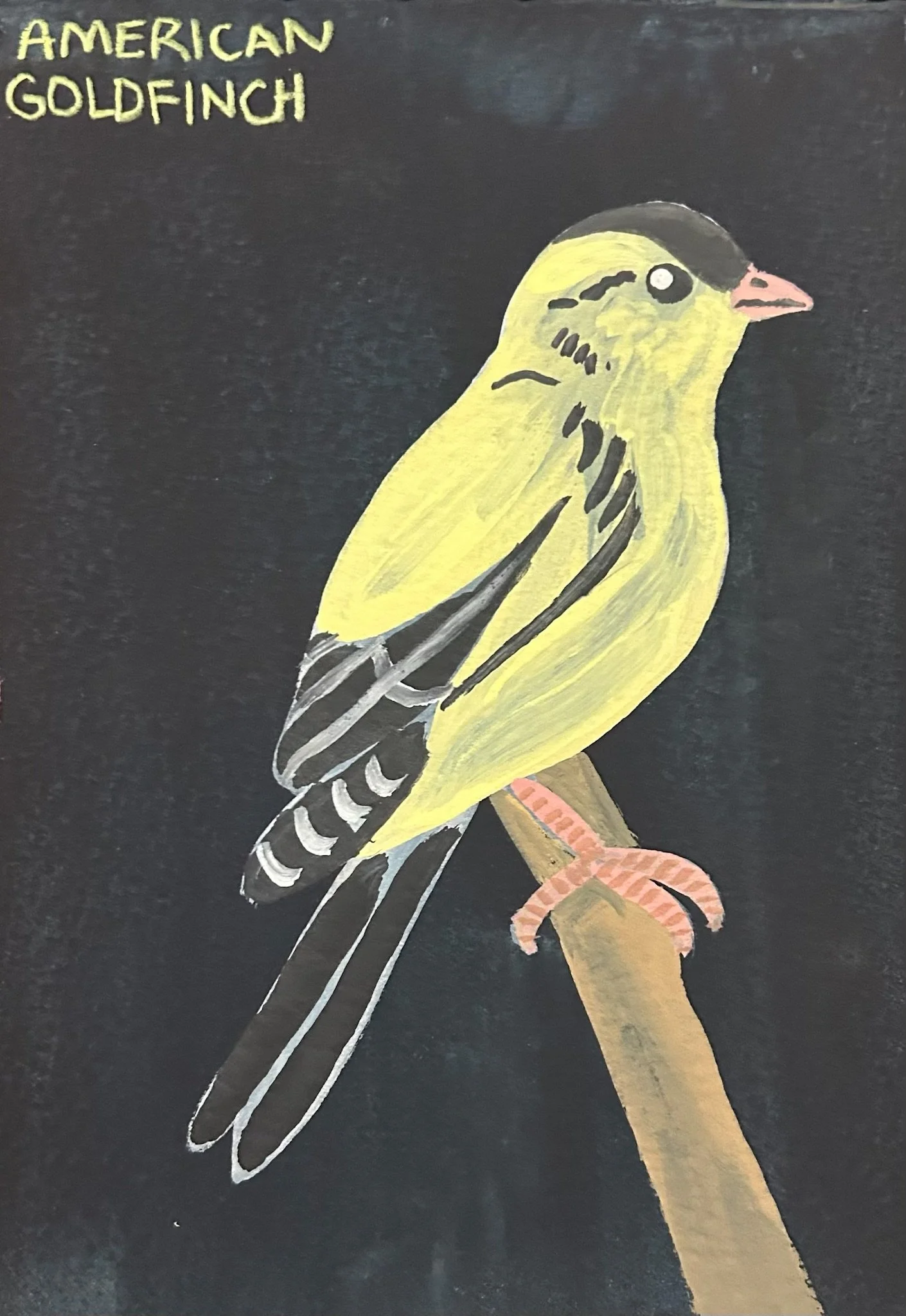 American Goldfinch 2026