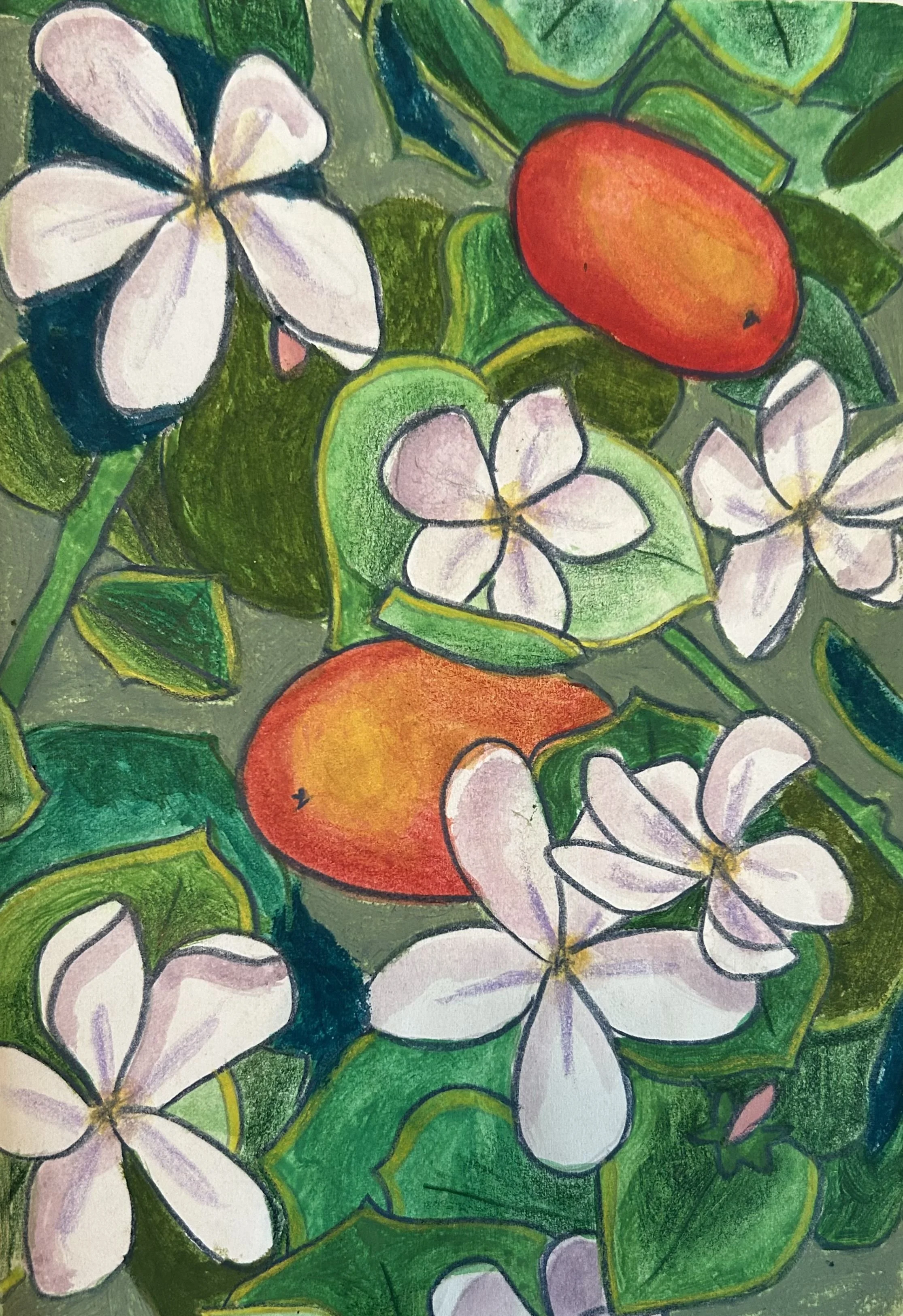 Carissa Macrocarpa Sketchbook 14