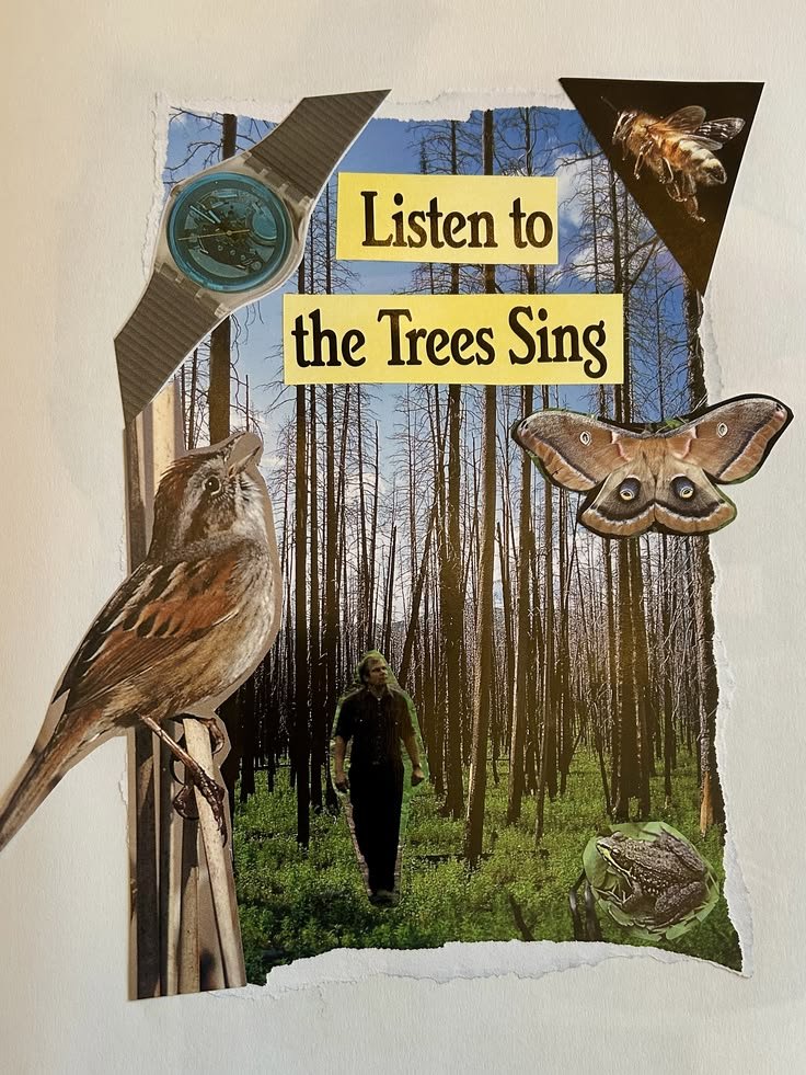Listen to the Trees Sing 2026