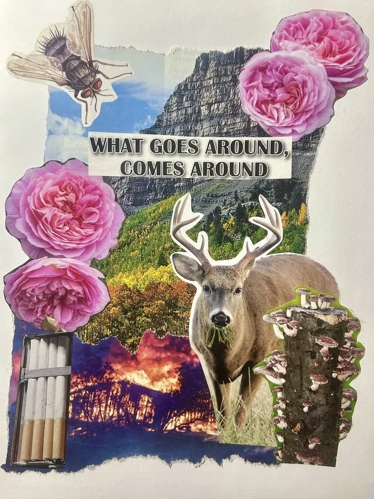 What Goes Around, Comes Around 2025
