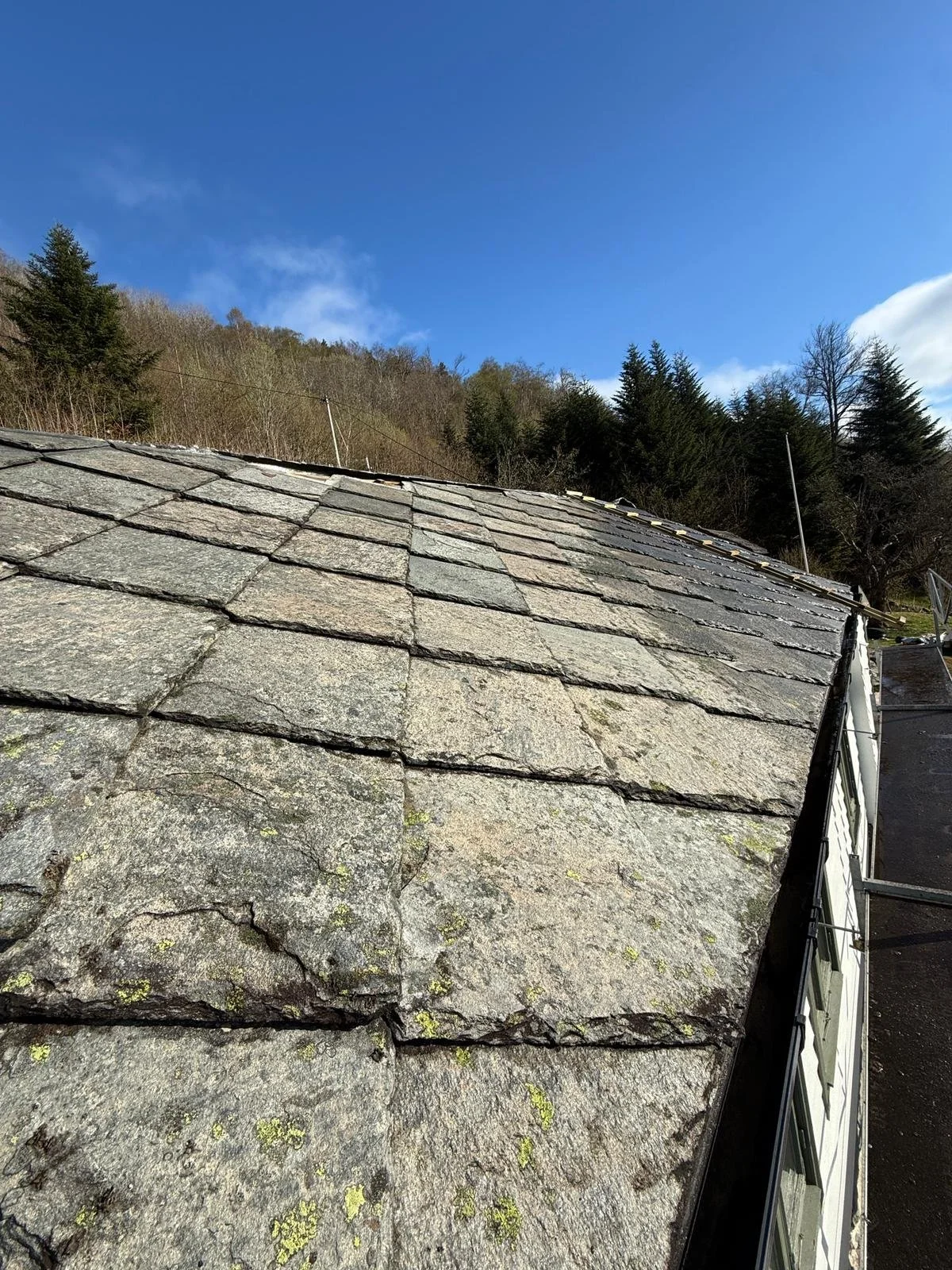 WhatsApp Image 2026-04-25 at 12.59.03.jpeg