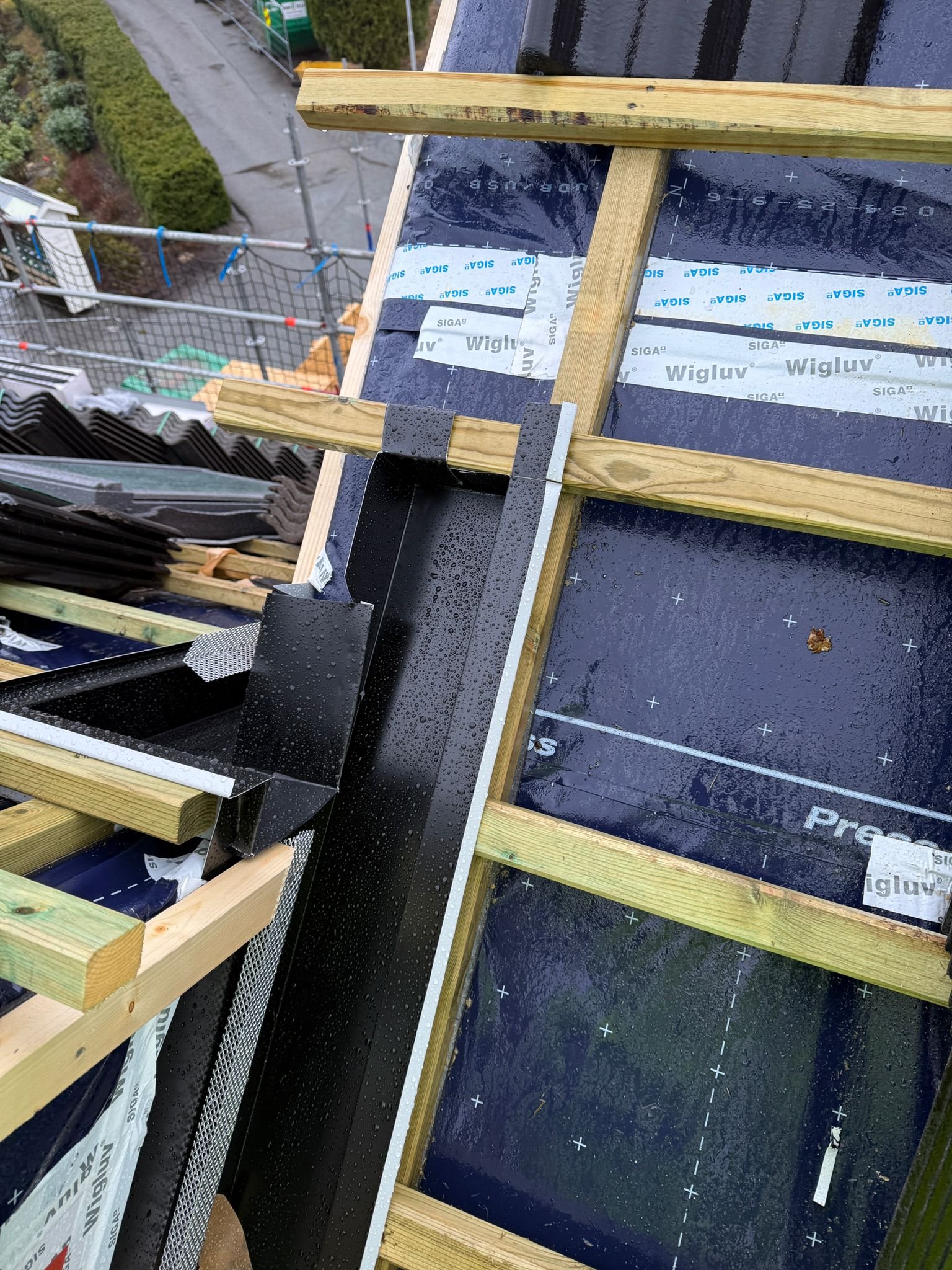 WhatsApp Image 2026-03-17 at 07.52.20.jpeg