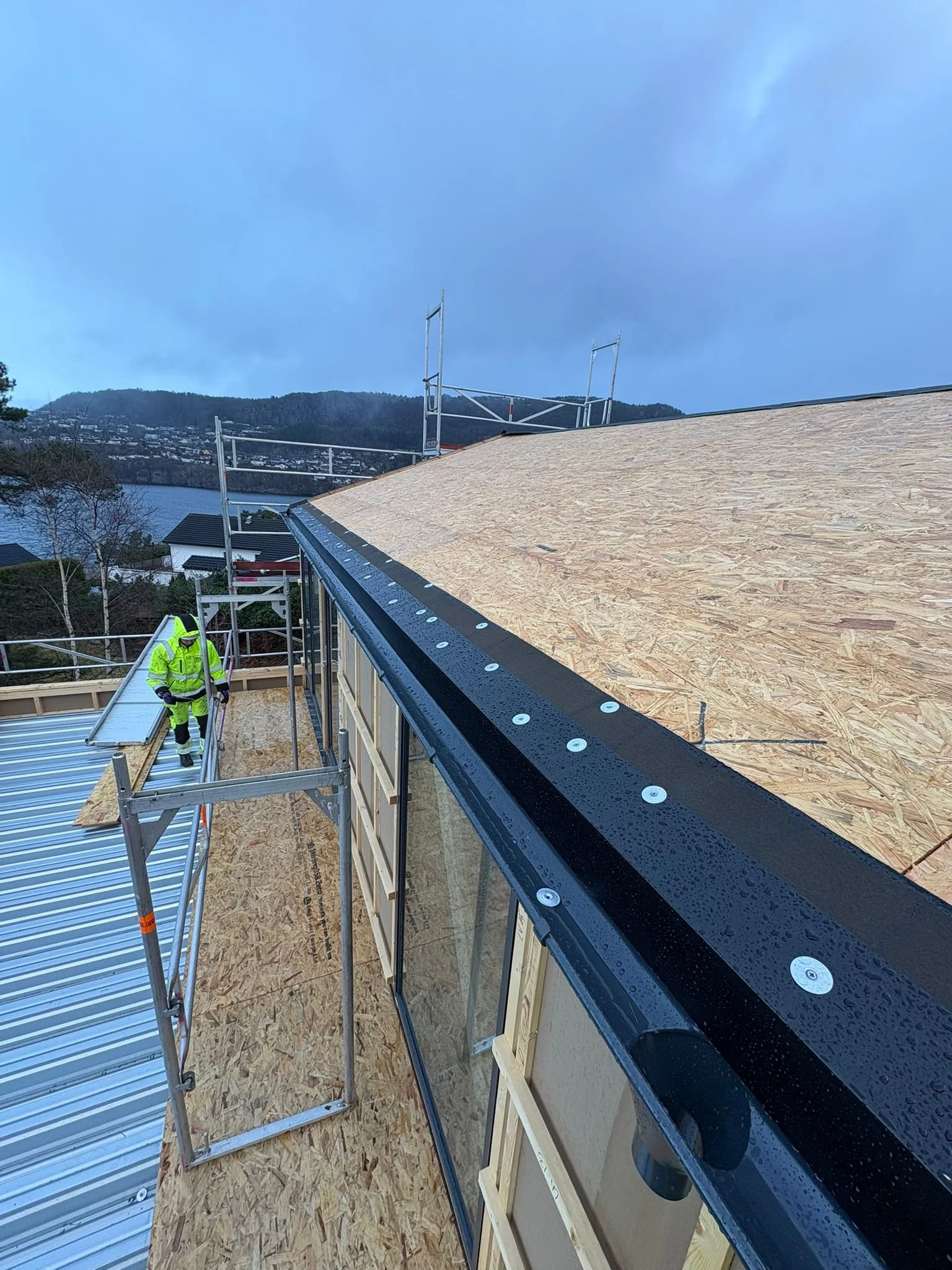 WhatsApp Image 2026-03-26 at 17.17.09.jpeg