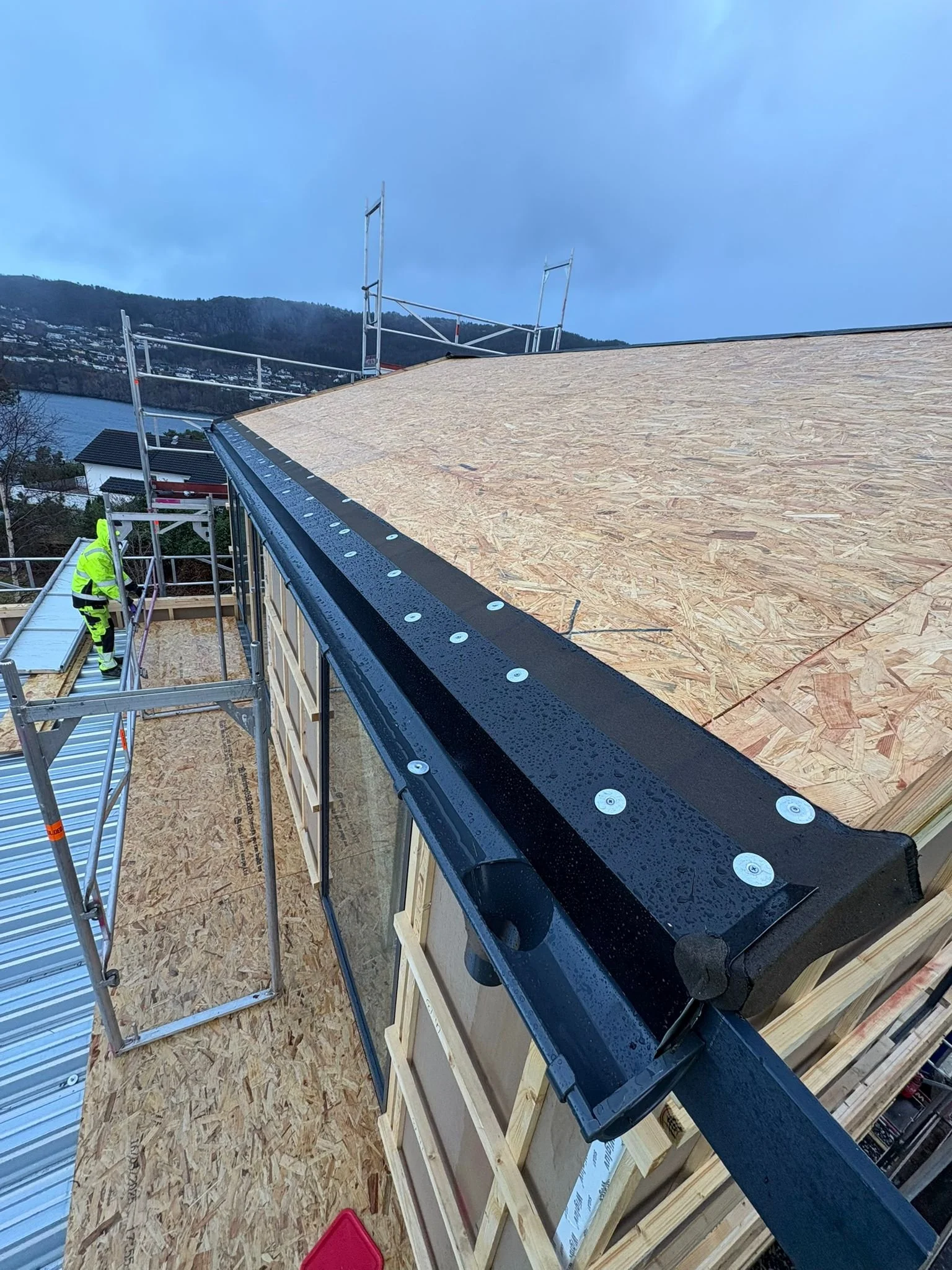 WhatsApp Image 2026-03-26 at 17.17.08.jpeg