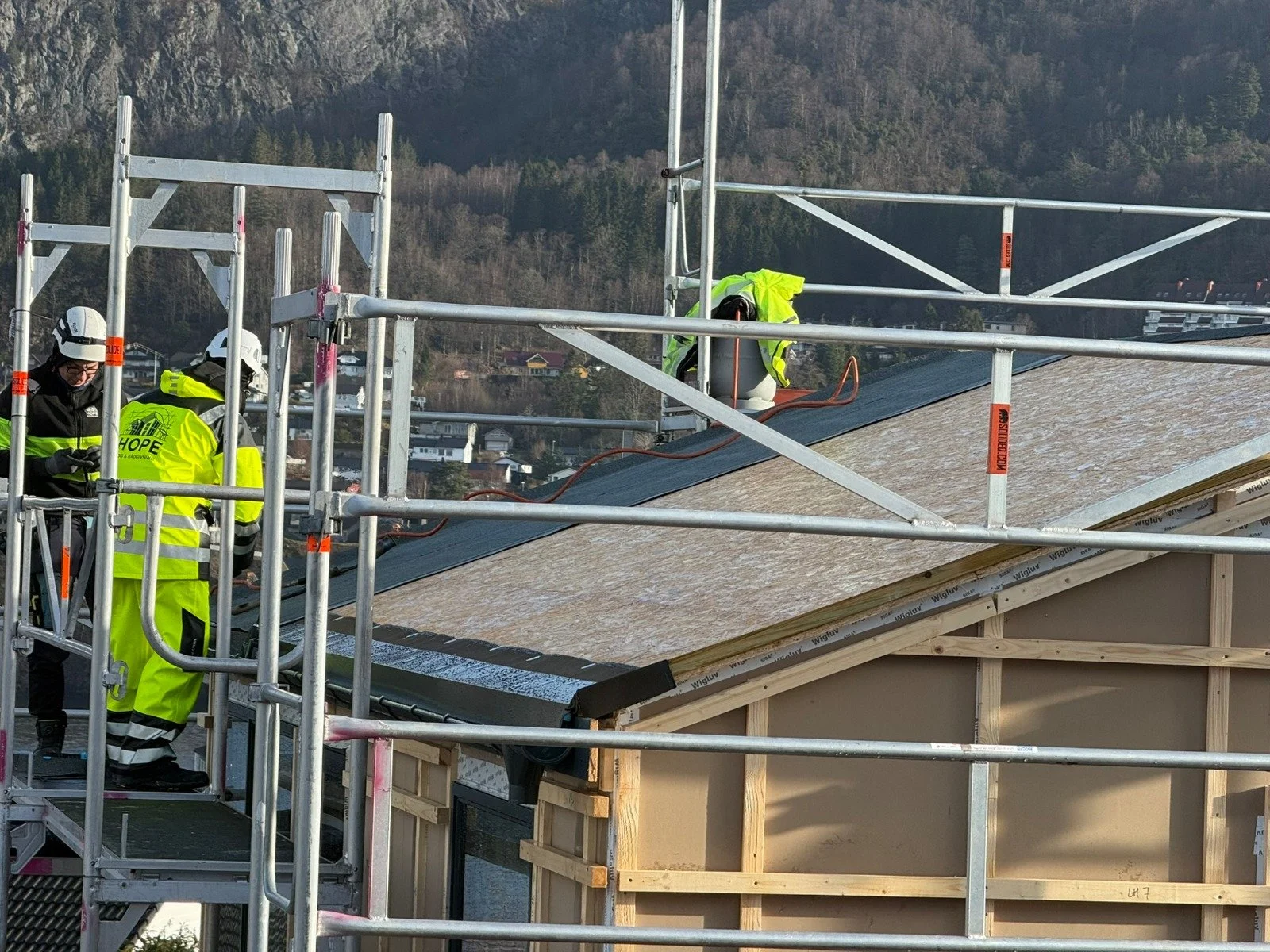 WhatsApp Image 2026-03-26 at 13.01.19.jpeg