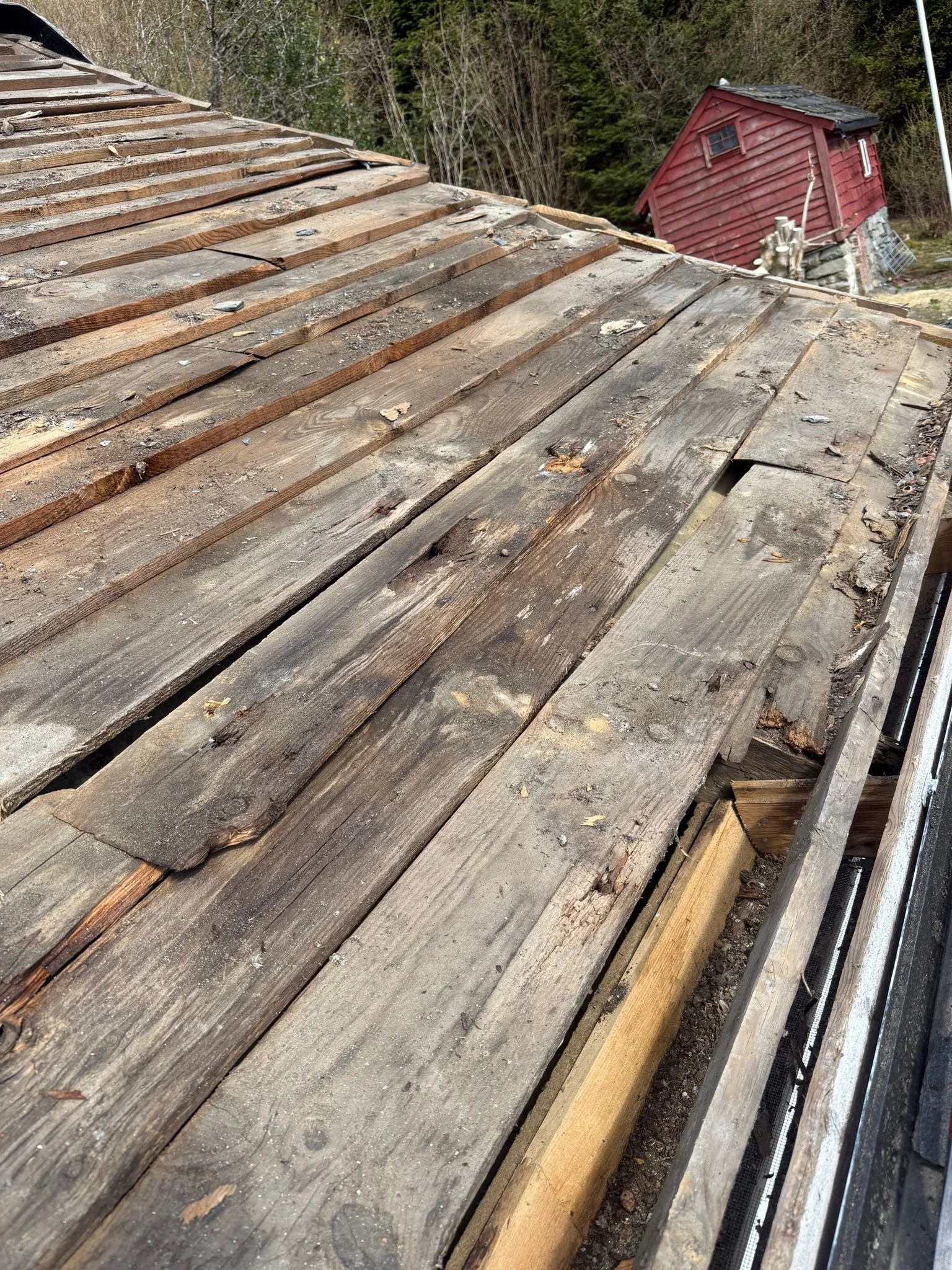 WhatsApp Image 2026-04-25 at 12.59.00.jpeg