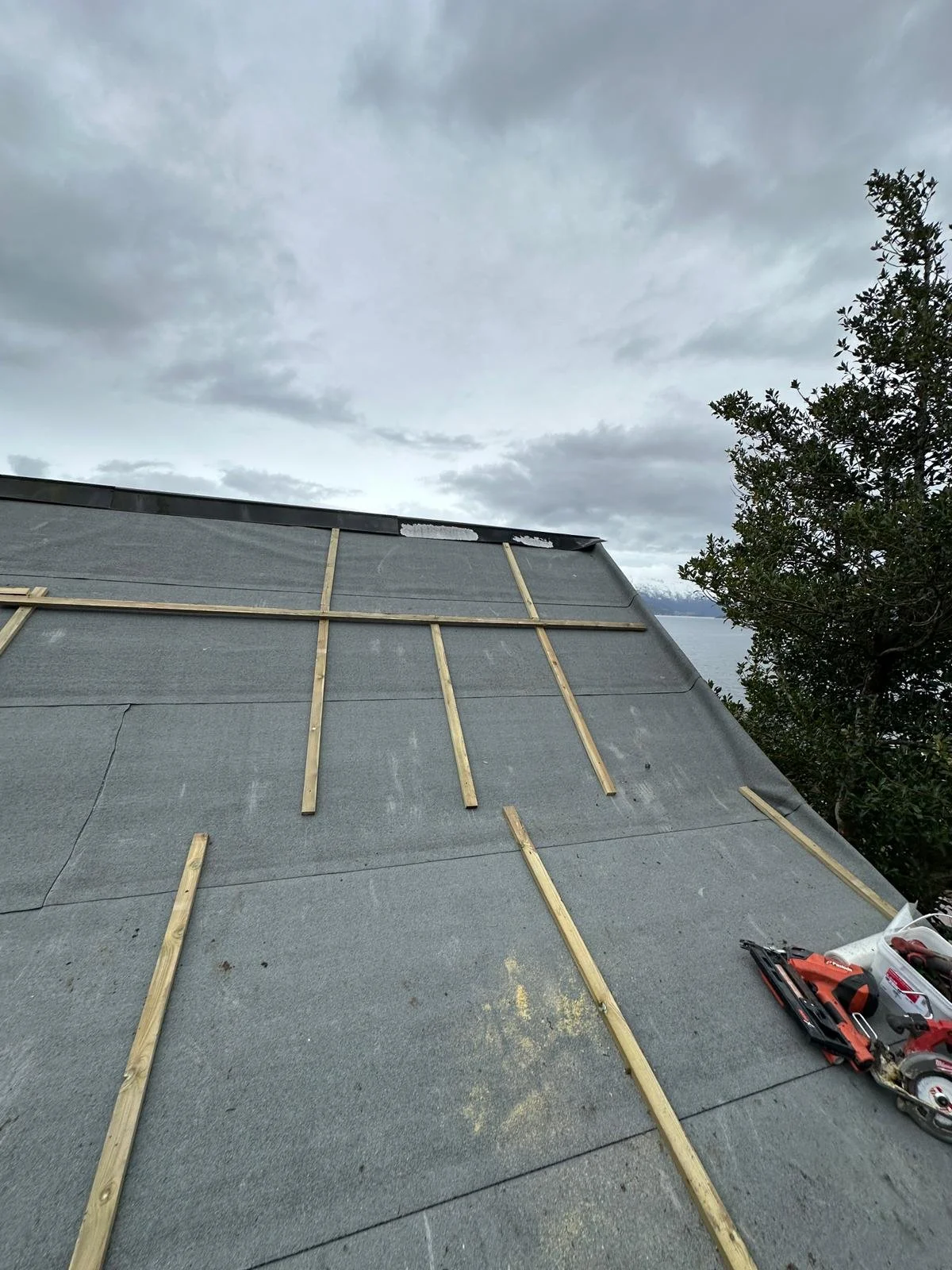 WhatsApp Image 2026-03-31 at 18.01.05 (2).jpeg