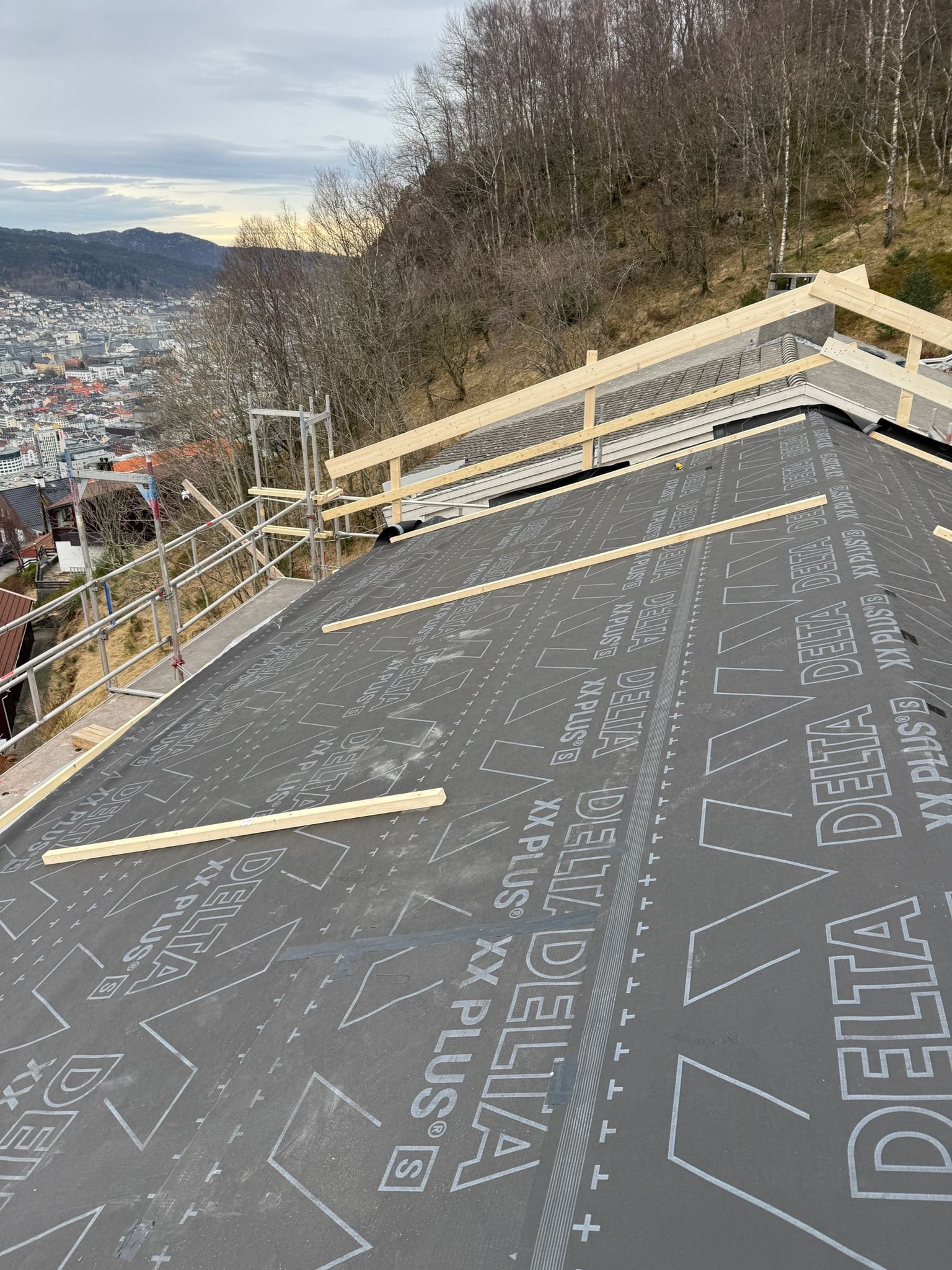 WhatsApp Image 2026-02-06 at 15.51.59.jpeg