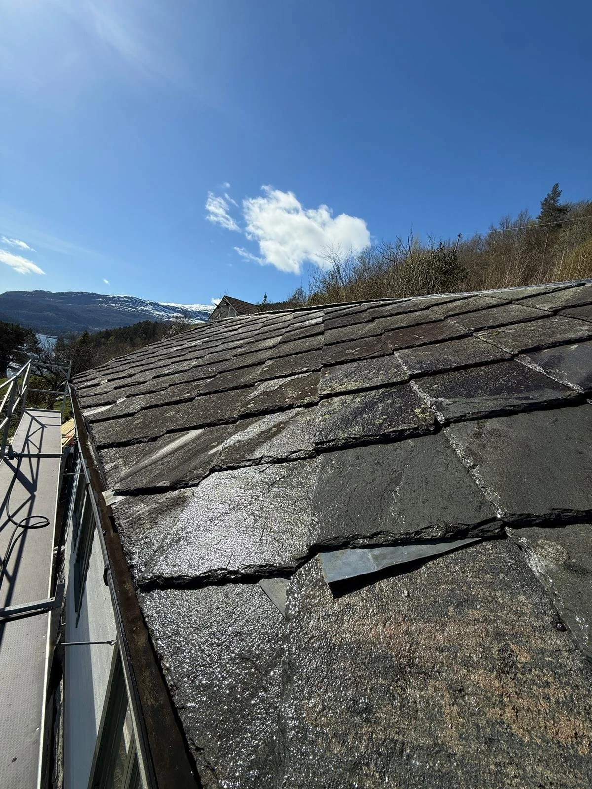 WhatsApp Image 2026-04-25 at 12.59.04 (1).jpeg