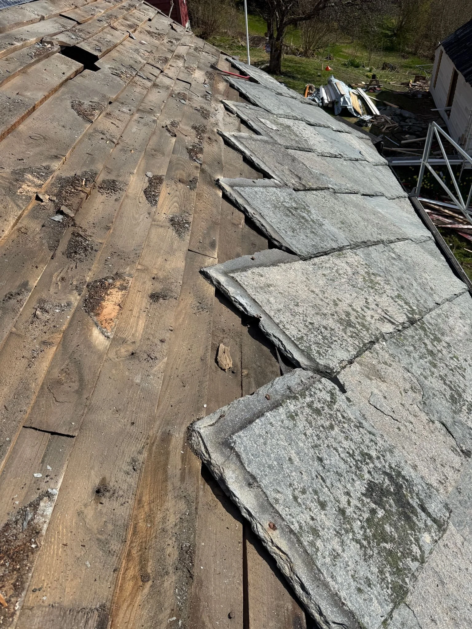 WhatsApp Image 2026-04-25 at 12.59.01 (1).jpeg