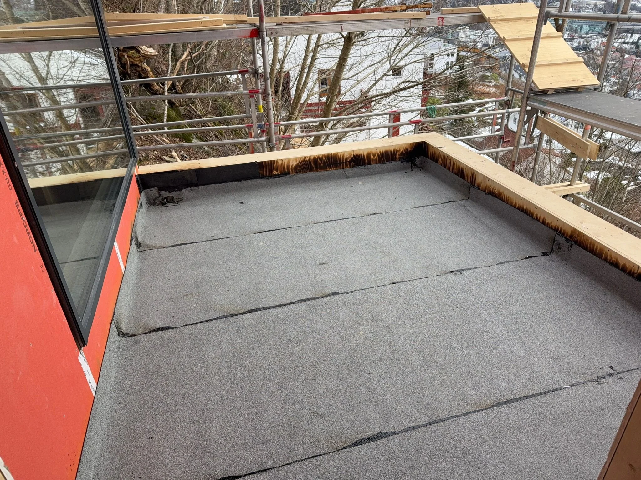 WhatsApp Image 2026-02-17 at 16.33.42.jpeg