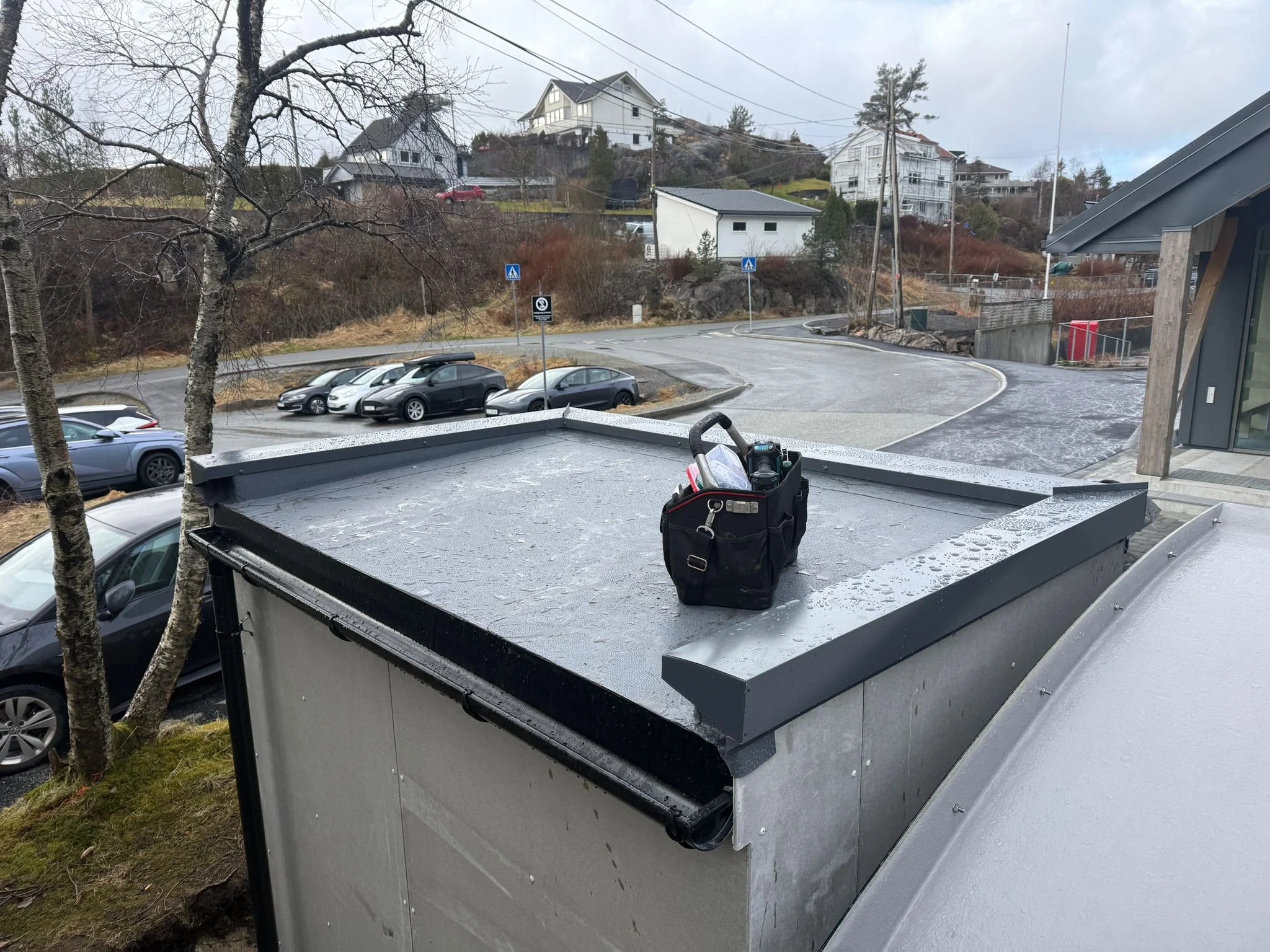 WhatsApp Image 2026-03-26 at 17.37.19.jpeg