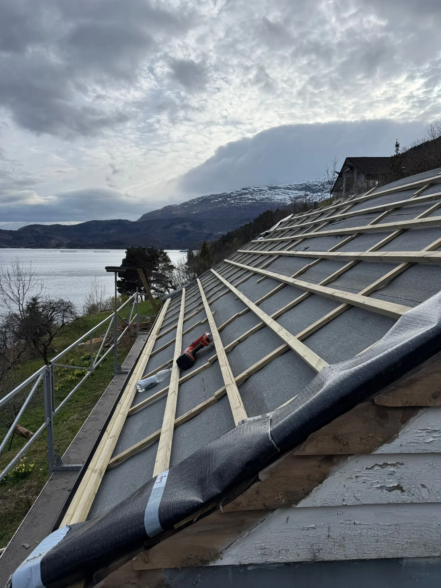 WhatsApp Image 2026-04-25 at 12.58.56.jpeg