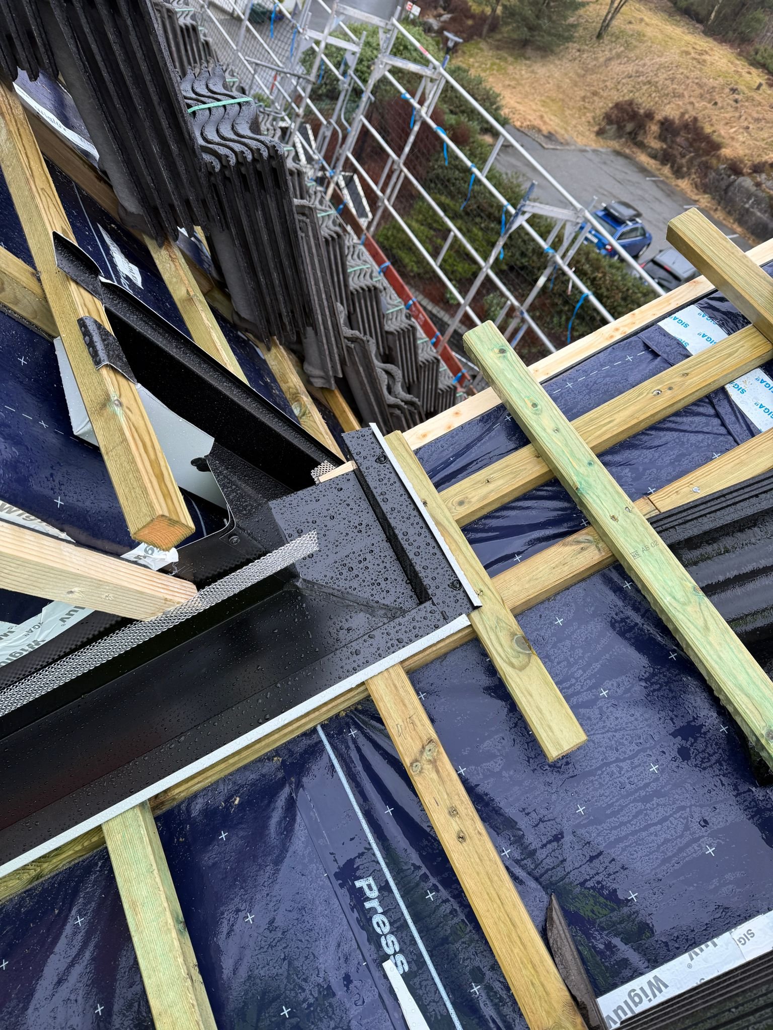 WhatsApp Image 2026-03-17 at 07.52.19 (1).jpeg