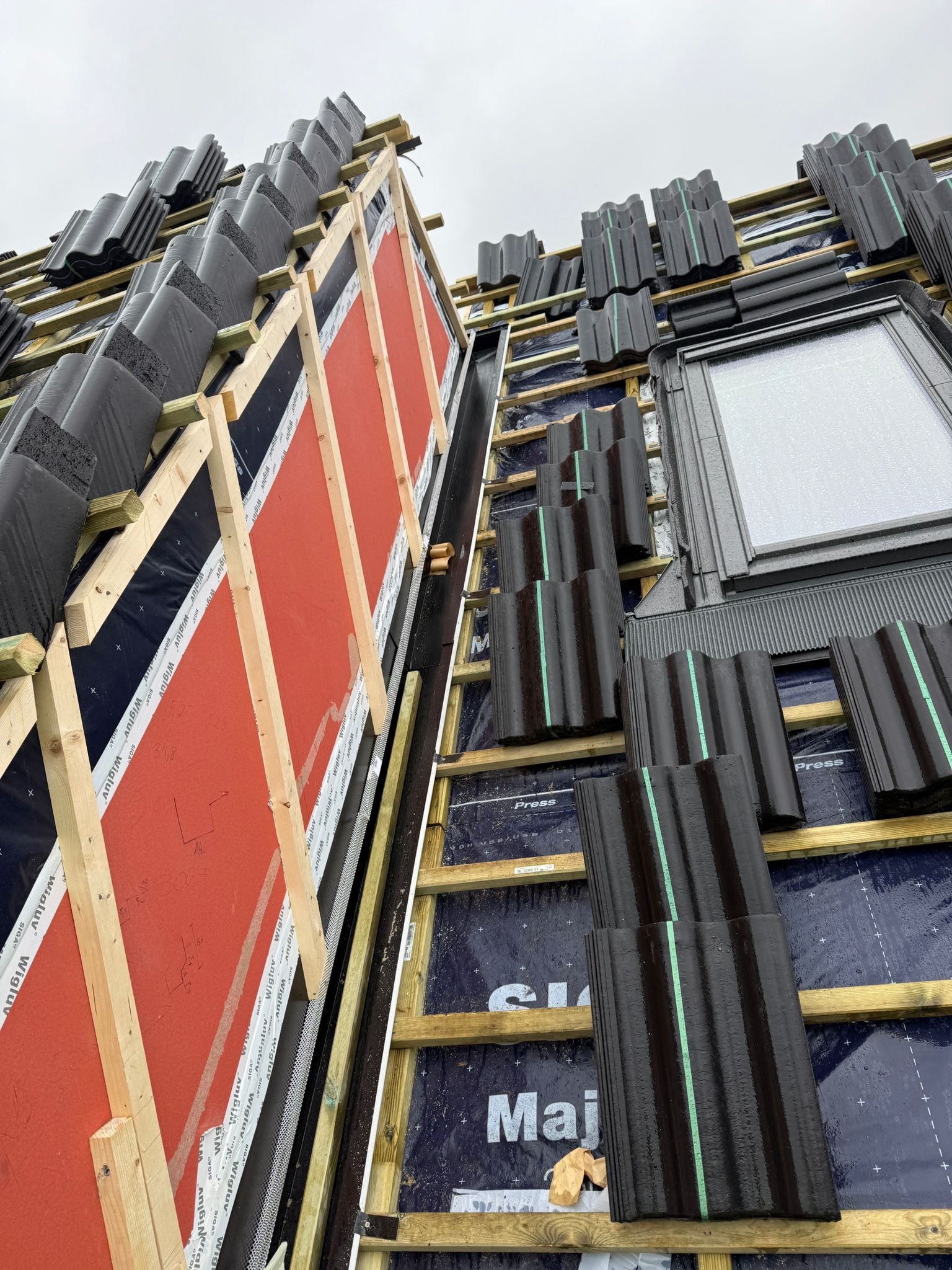 WhatsApp Image 2026-03-17 at 07.52.19.jpeg