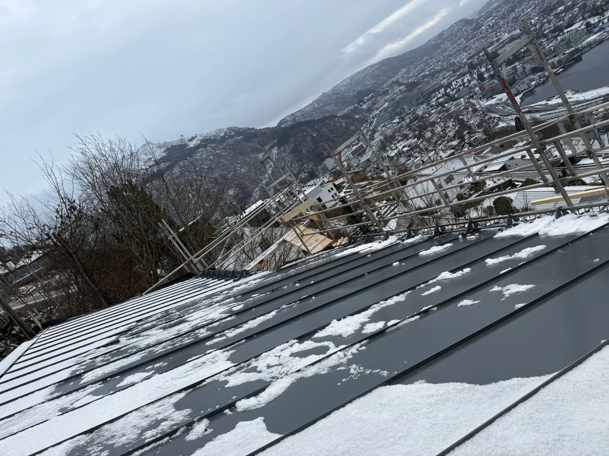 WhatsApp Image 2026-02-17 at 16.34.01.jpeg