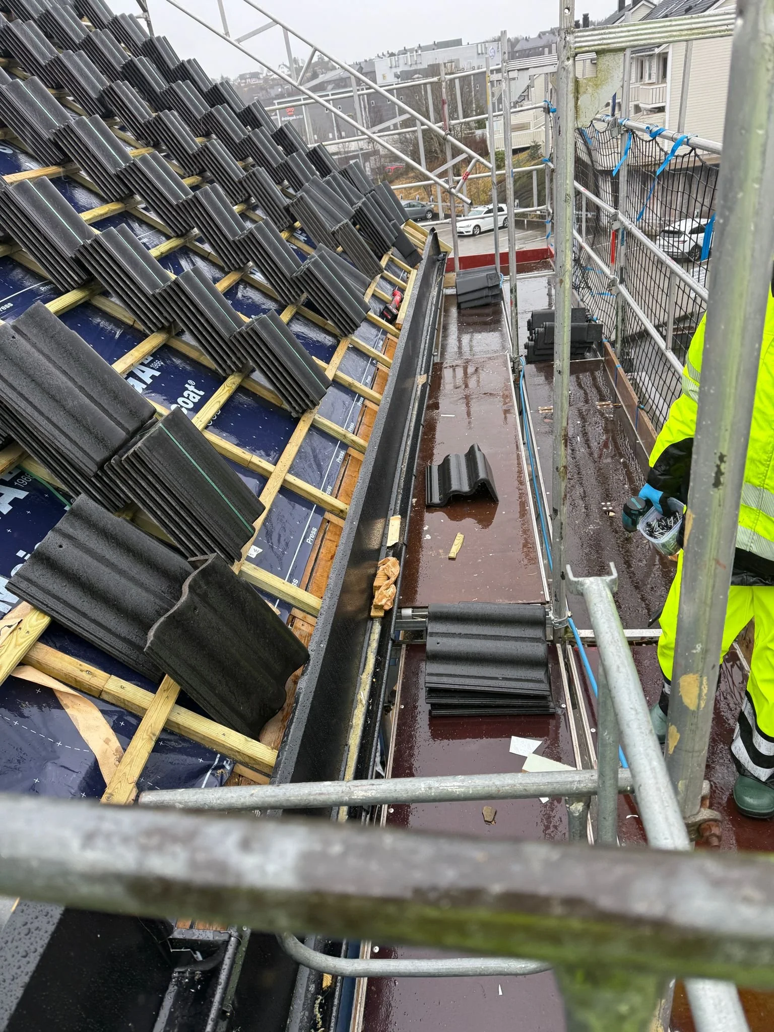 WhatsApp Image 2026-03-17 at 07.52.20 (3).jpeg