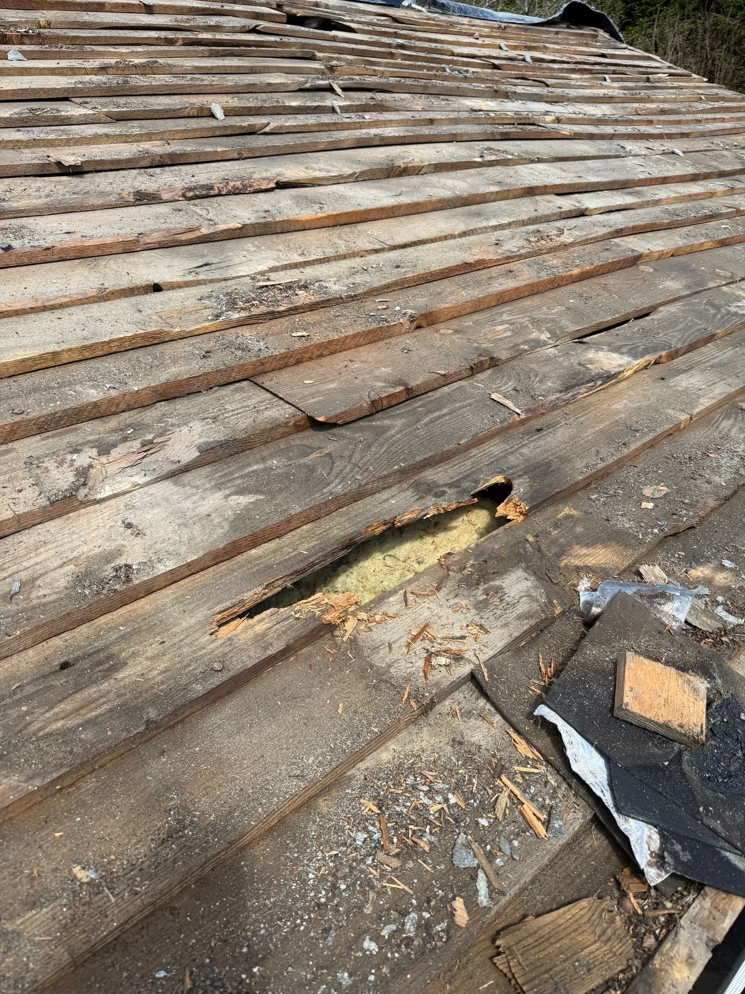 WhatsApp Image 2026-04-25 at 12.59.00 (1).jpeg