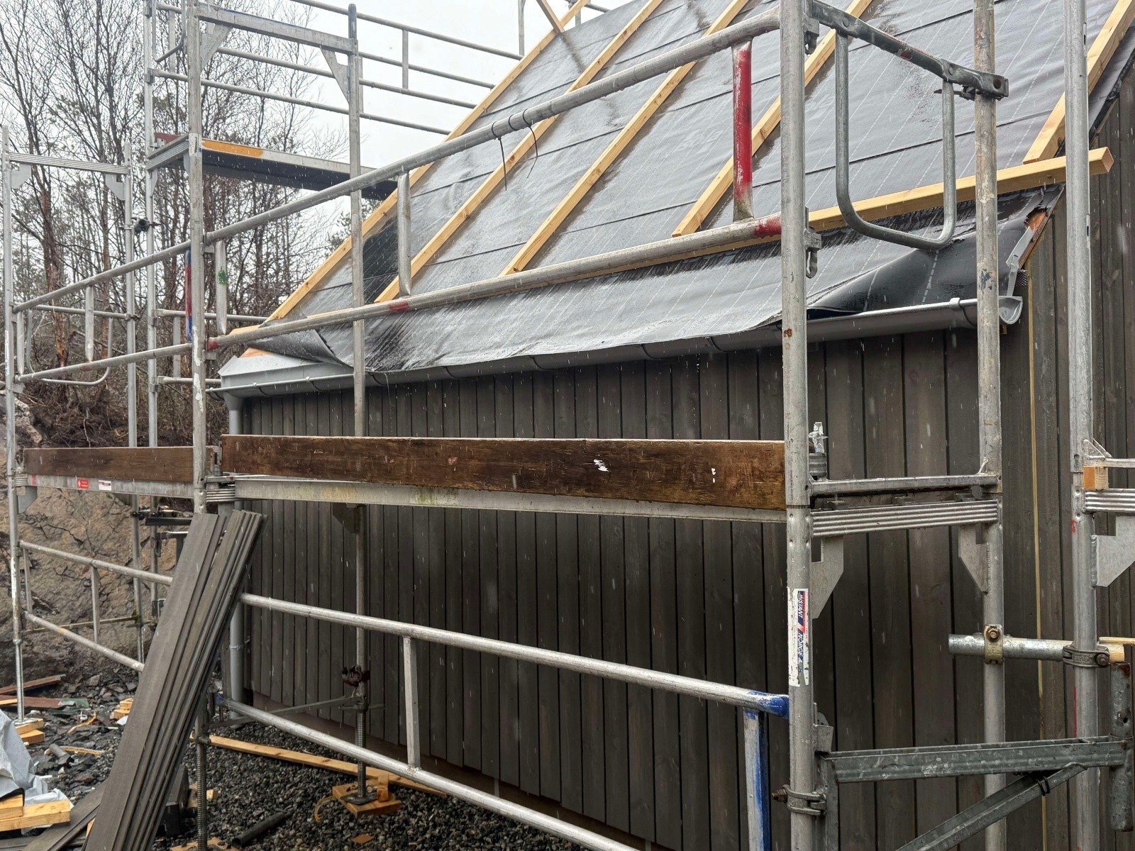 WhatsApp Image 2026-03-19 at 15.41.03.jpeg