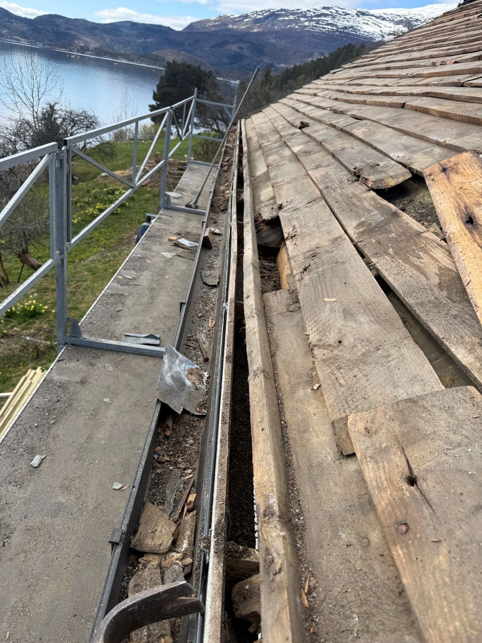 WhatsApp Image 2026-04-25 at 12.58.57.jpeg