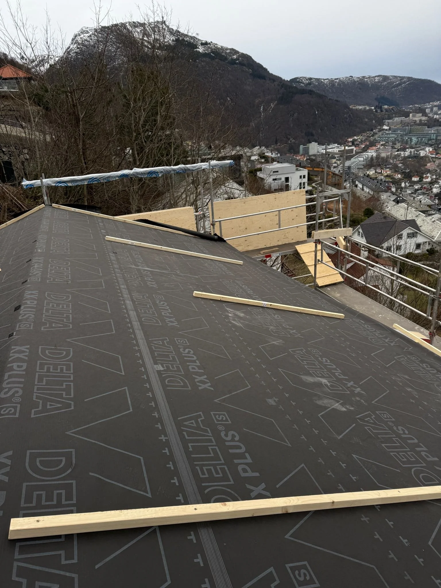 WhatsApp Image 2026-02-06 at 15.52.09.jpeg