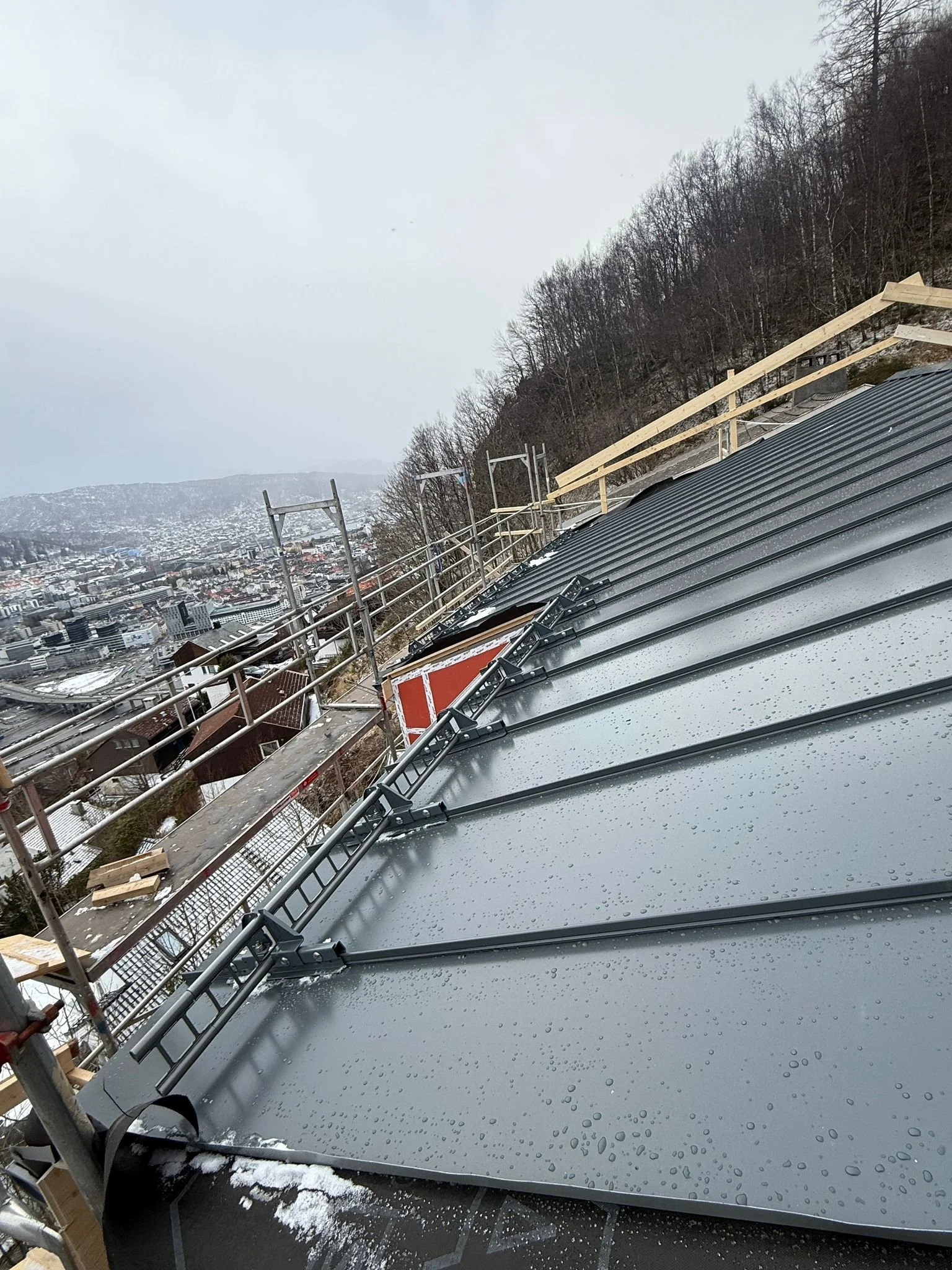 WhatsApp Image 2026-02-17 at 16.34.02.jpeg