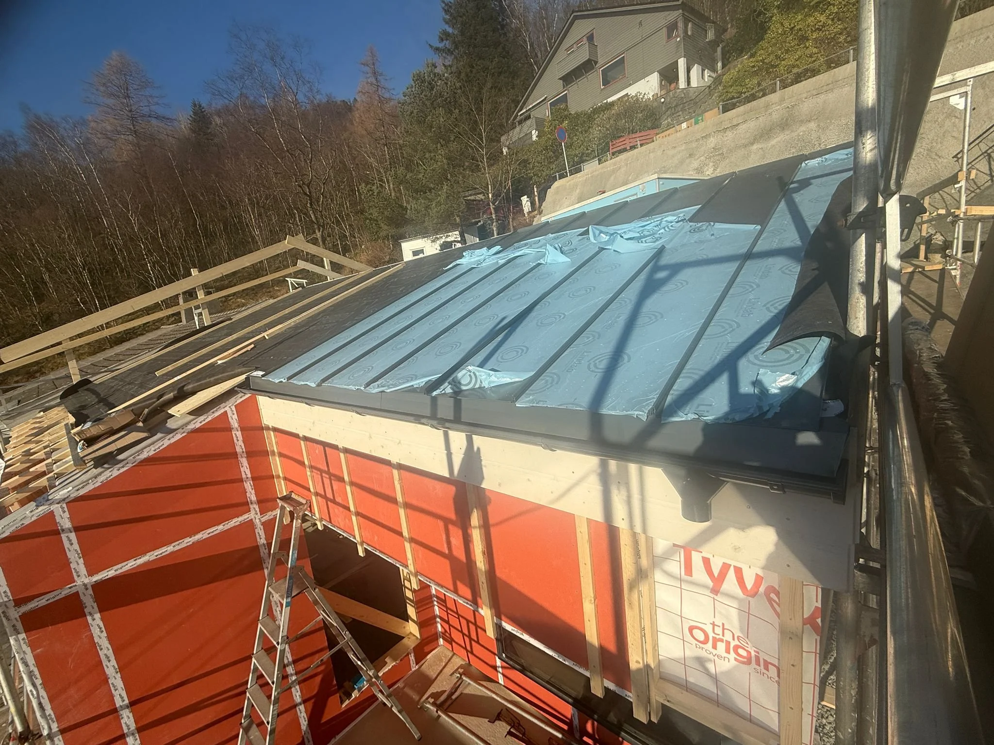 WhatsApp Image 2026-02-11 at 14.43.03.jpeg