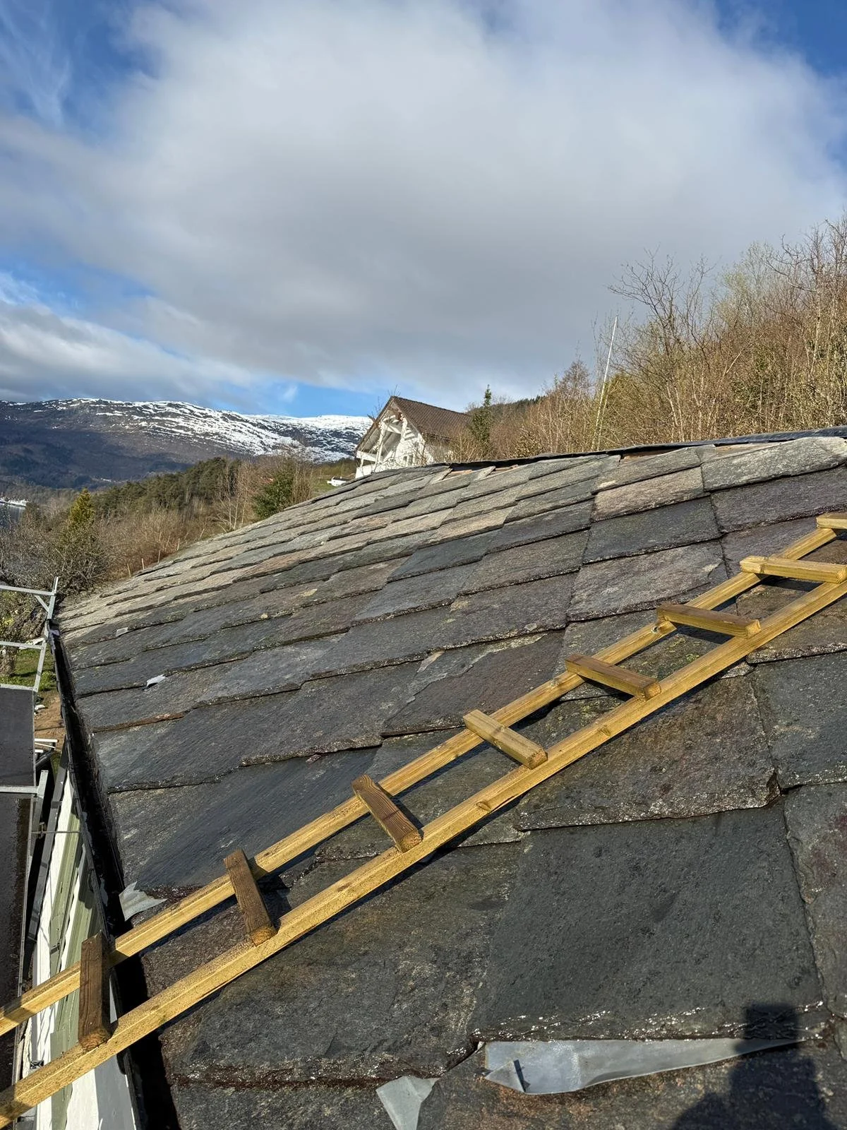 WhatsApp Image 2026-04-25 at 12.59.04.jpeg