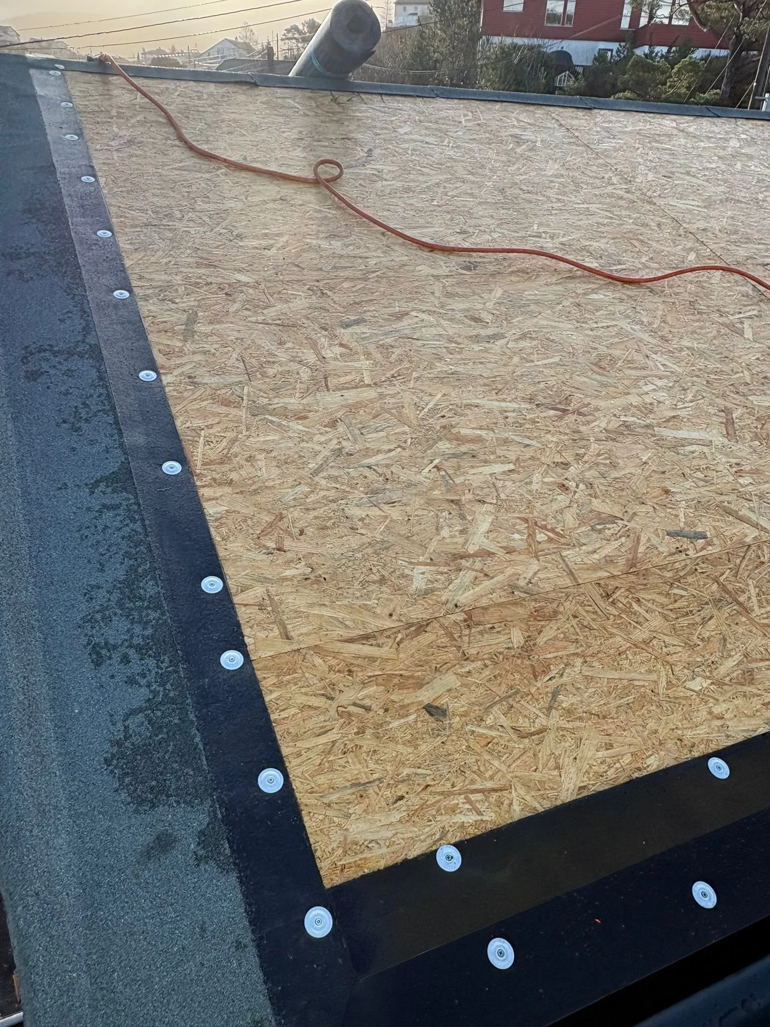 WhatsApp Image 2026-03-26 at 17.17.31 (1).jpeg