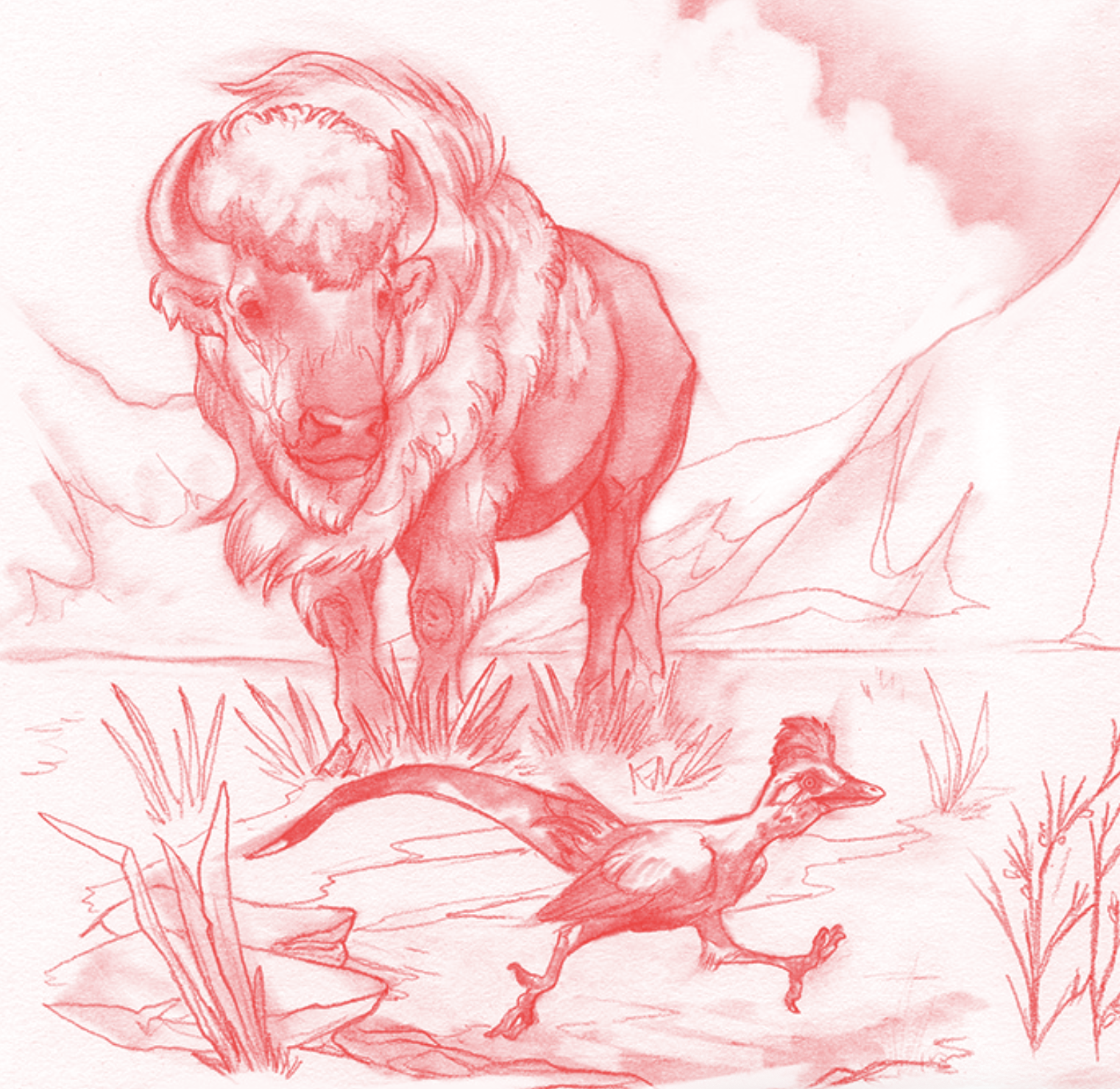 buffalo and monster bird from Nicholas Belardes's Ten Sleep, artwork by Brynn Metheney
