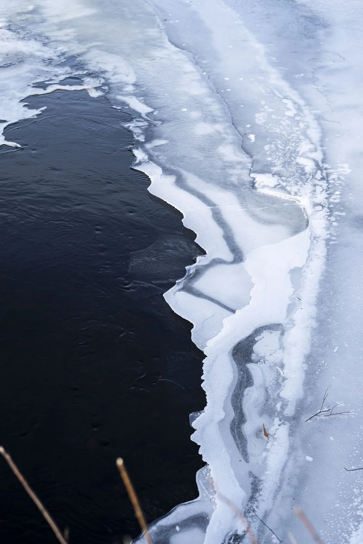 Ccrossen_004 copy.jpg